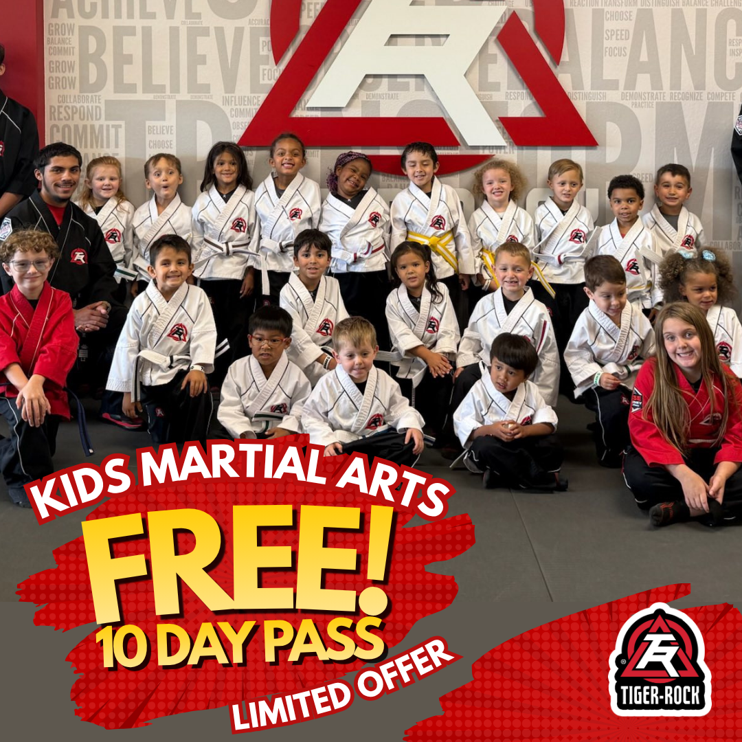 Tiger Rock Martial Arts - Fountain Facebook ad: 10 Days of Classes 100% FREE!