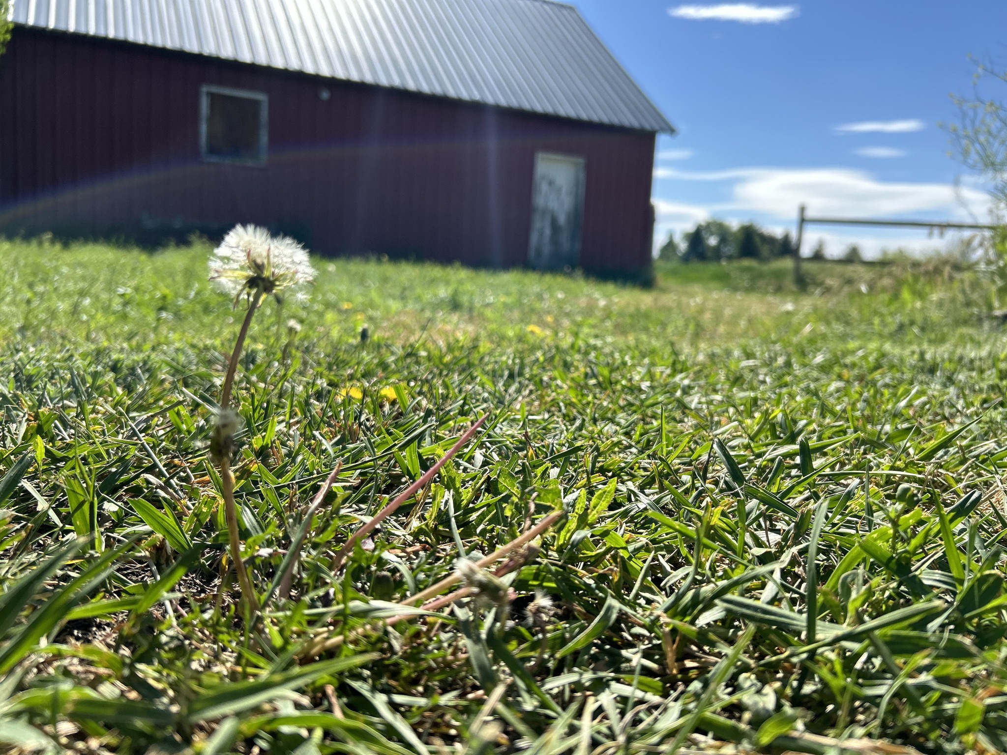 Bighorn Weed & Pest Management LLC Facebook ad: Expert herbicide solutions for lawns, pastures, and…