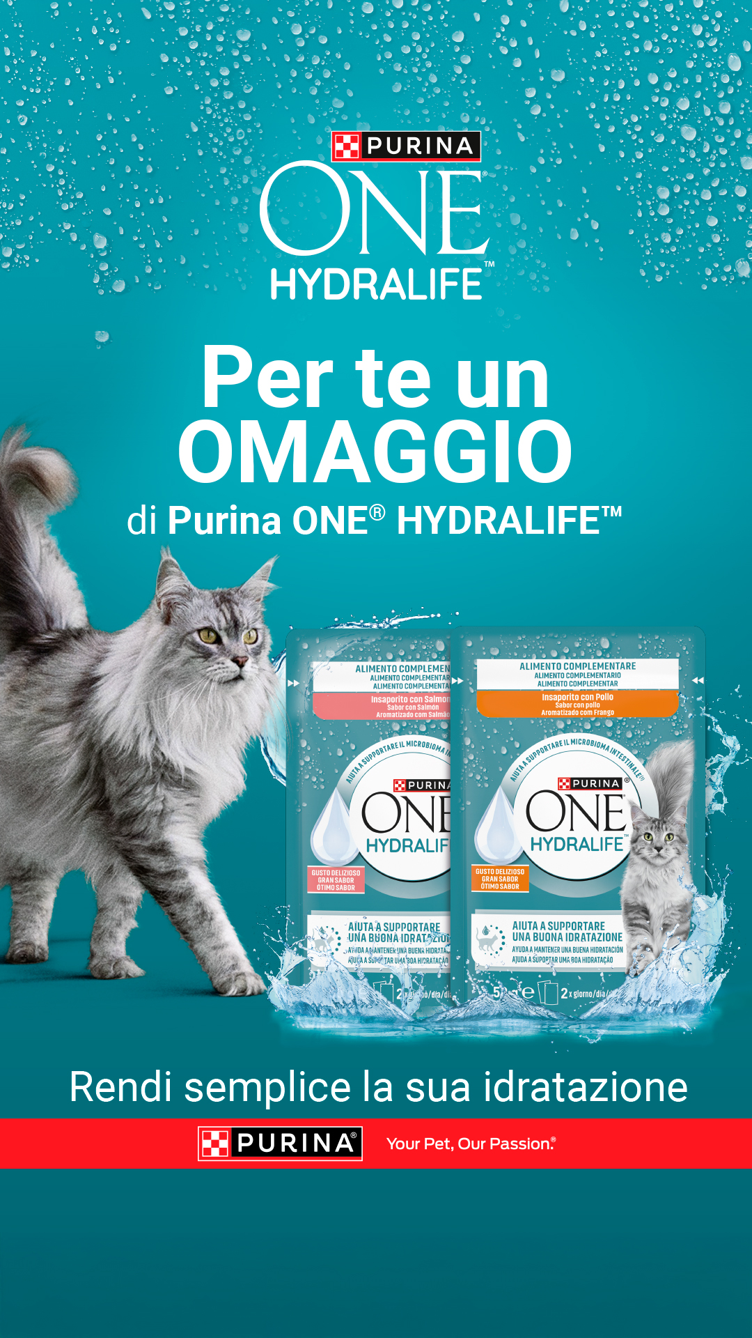 Purina Italia Facebook ad