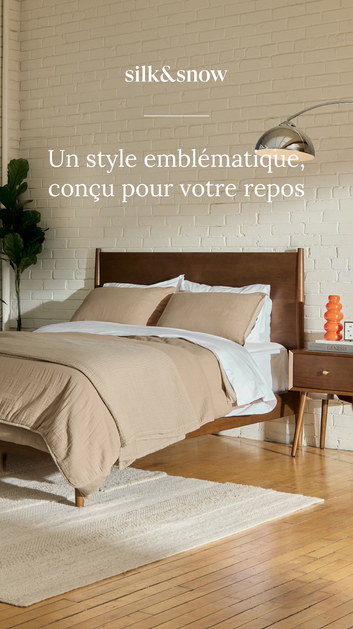 Maison Silk & Snow Facebook ad