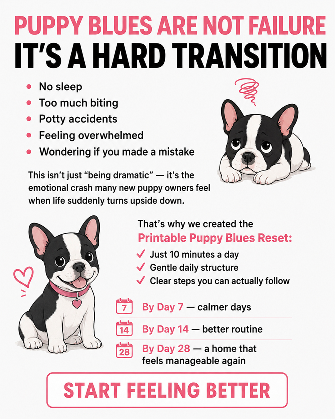 Puppy Tips for Training Facebook ad: Dog training doesn’t have to mean stress, barking…
