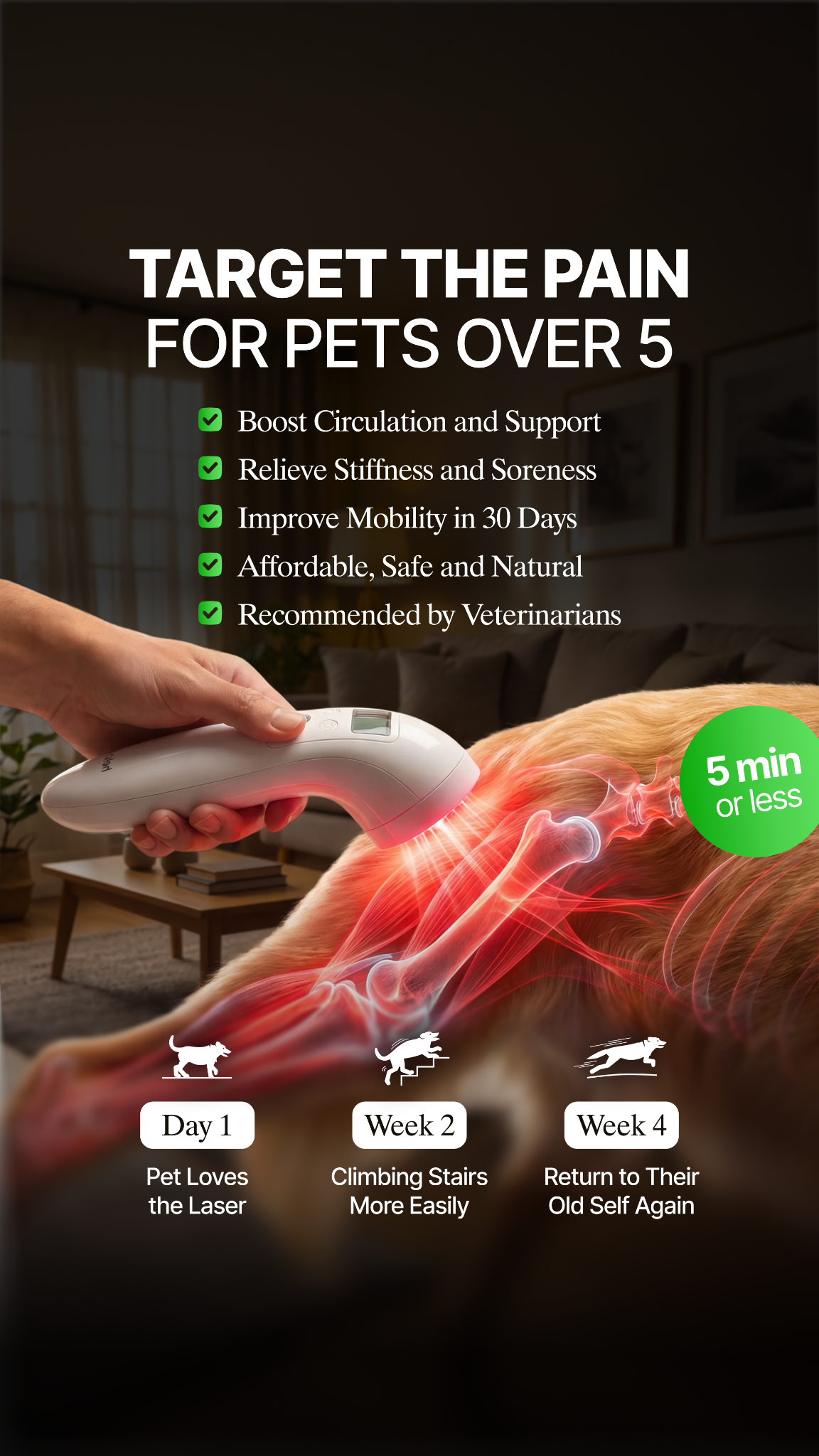 Helio Pet Facebook ad