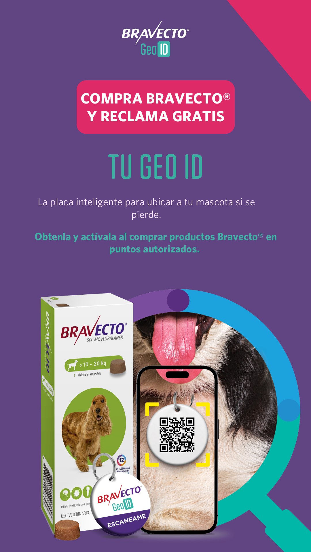 Bravecto LATAM Facebook ad