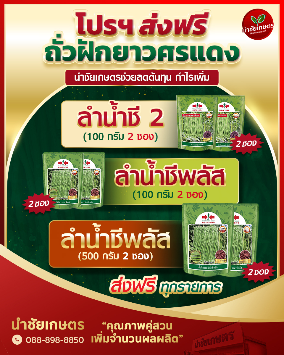 นำชัยเกษตร จำหน่าย ปุ๋ย ยา เมล็ดพันธุ์ ราคาพิเศษ Facebook ad: ถั่วฝักยาวศรแดง ส่งฟรีทุกรายการ