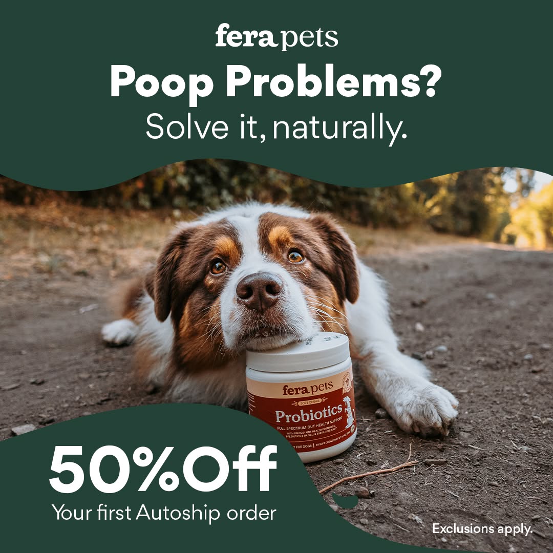 Chewy Facebook ad