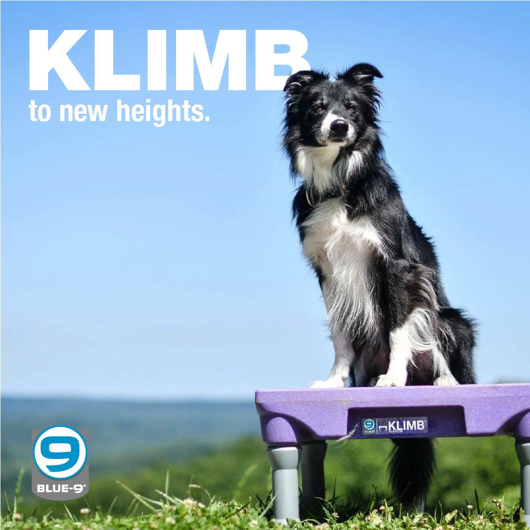 Blue-9 Pet Products Facebook ad
