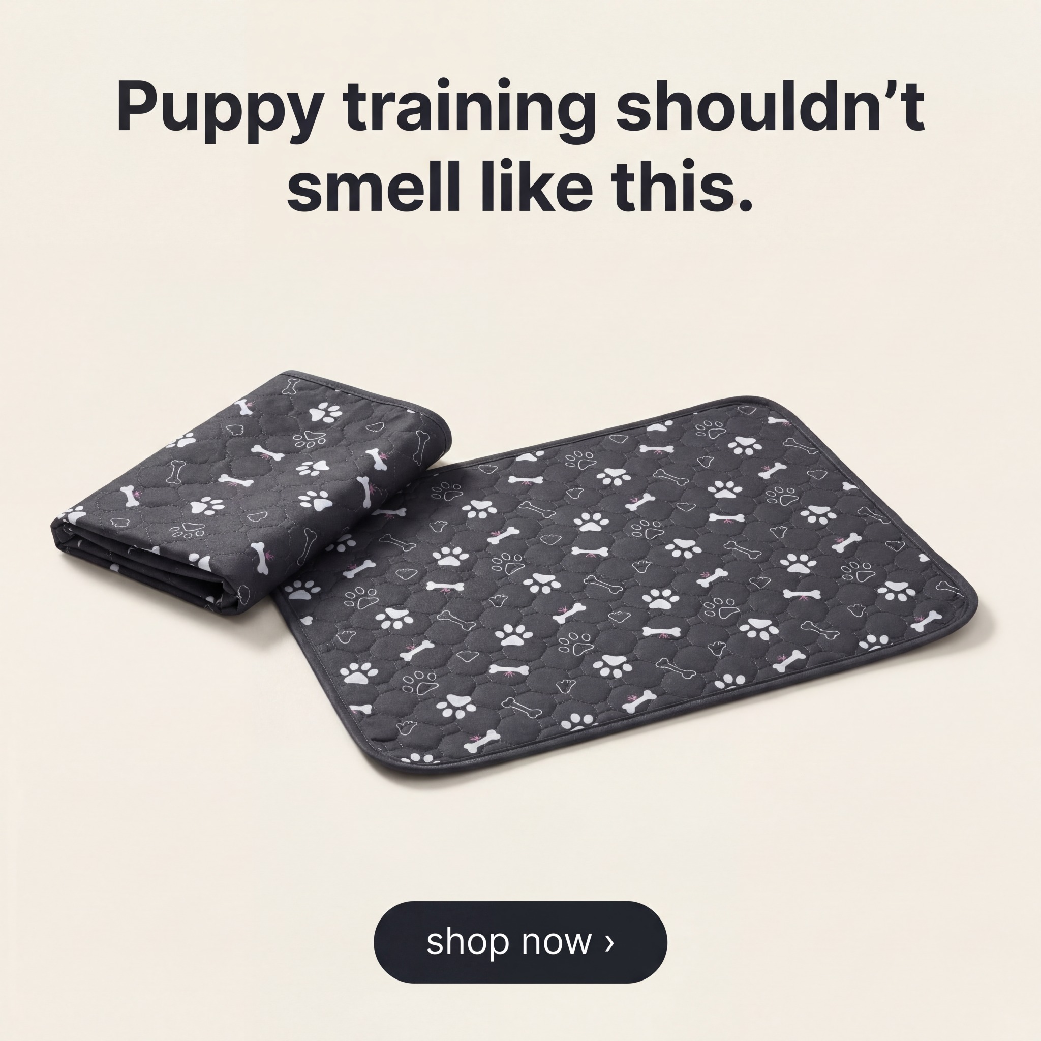 Teddy's Choice Facebook ad: The reusable pad your dog actually uses, from day one.
