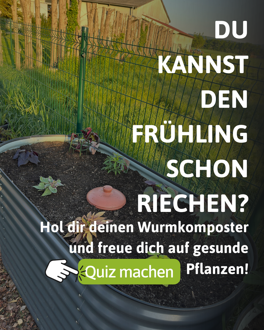 wurmkiste.at Facebook ad