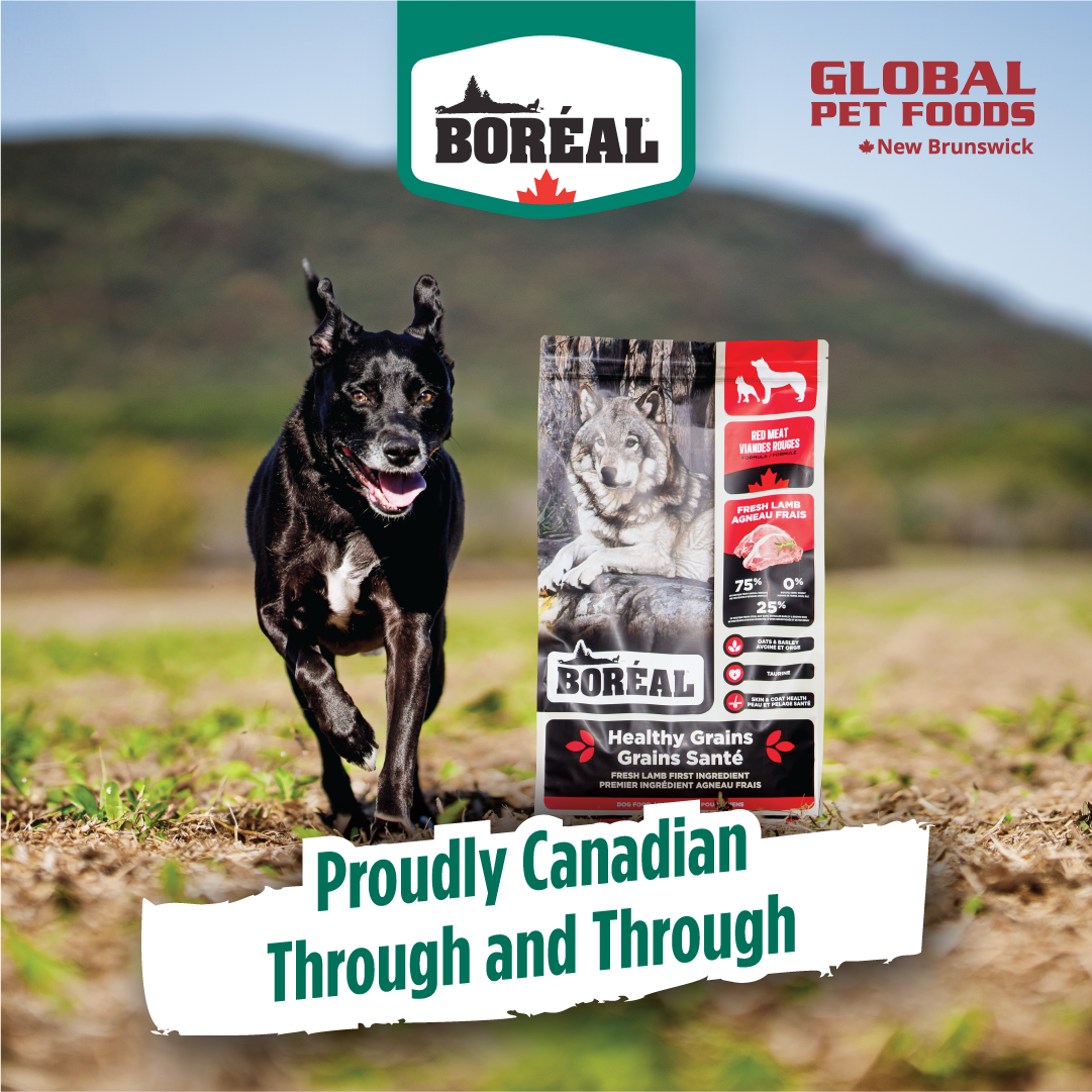 Boréal Pet Food Facebook ad