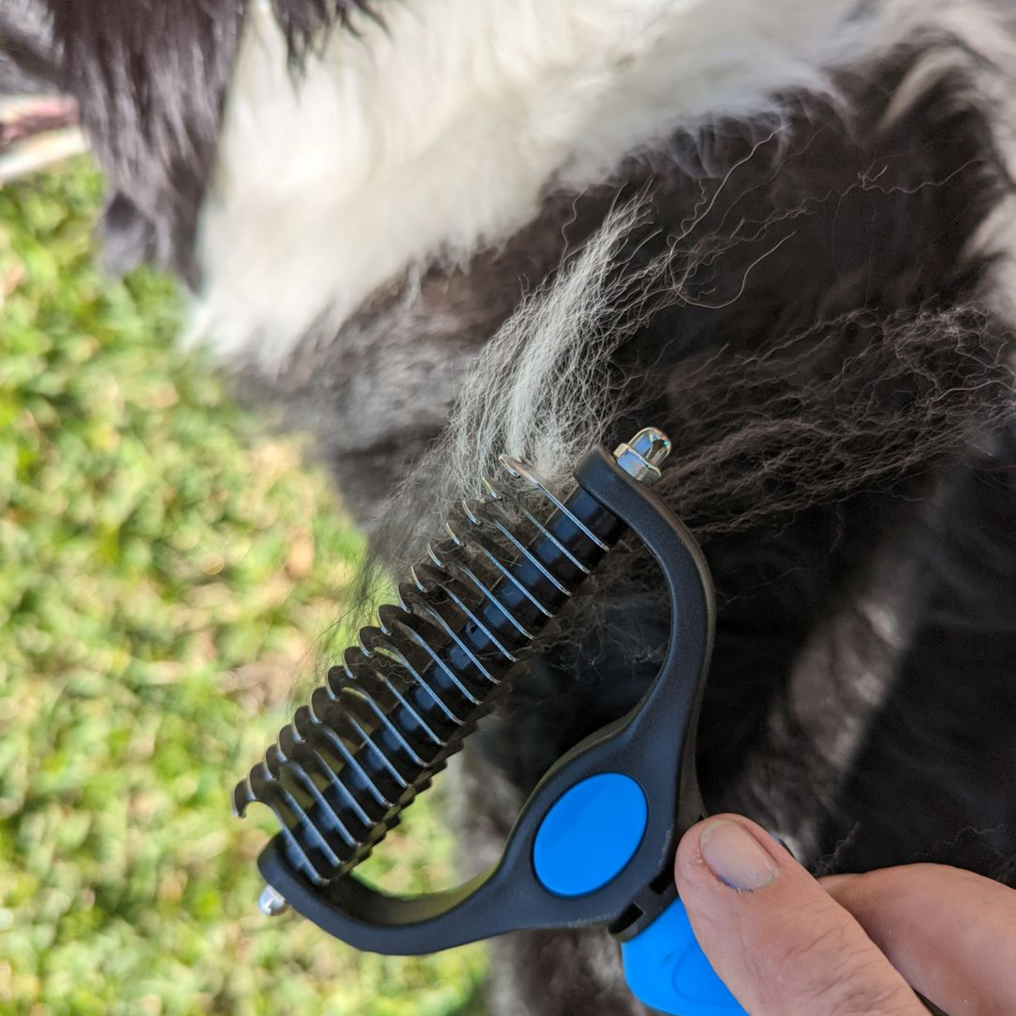 NuewayPets Facebook ad