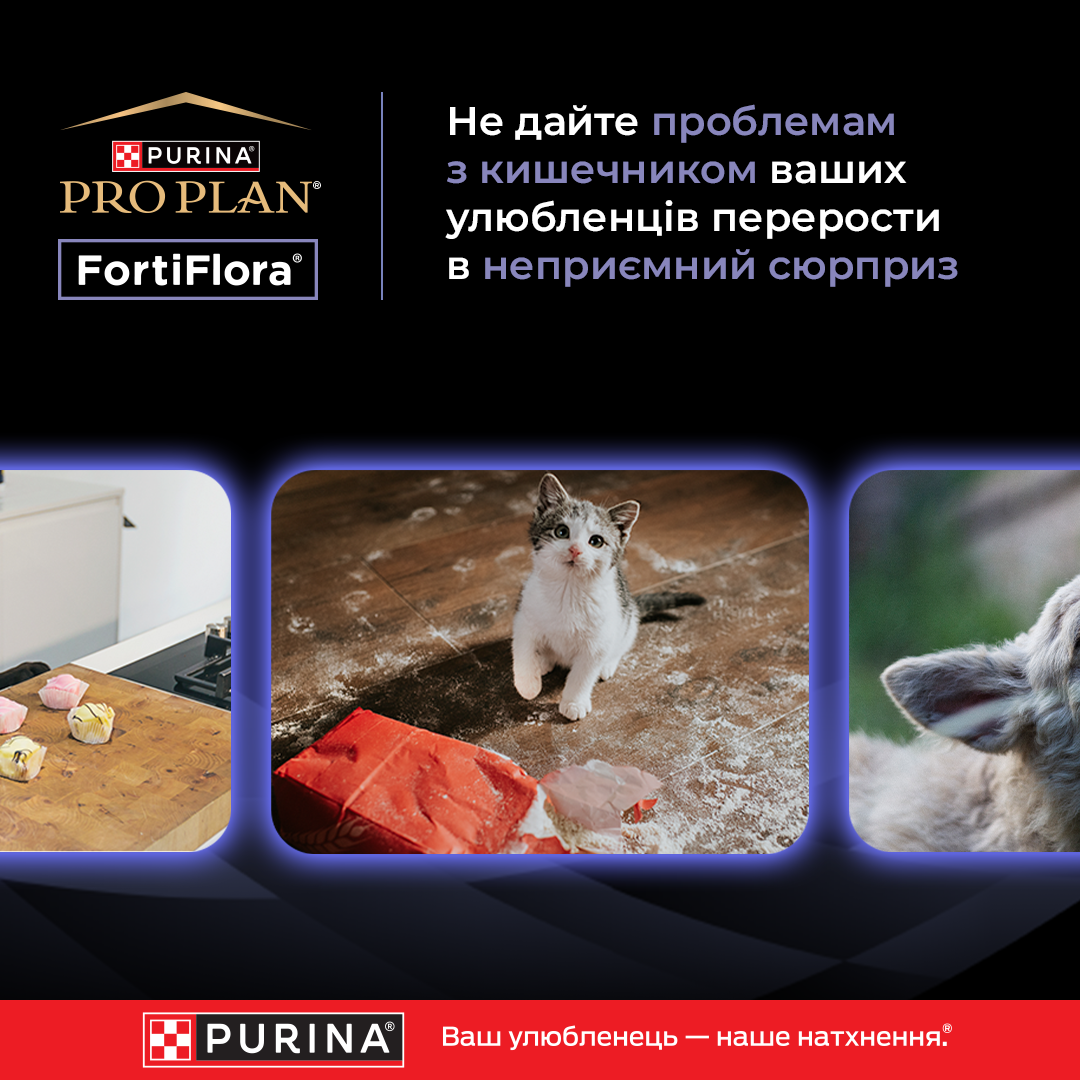 Pro Plan Ukraine Facebook ad: Завжди майте під рукою FortiFlora для підтримки здорового…