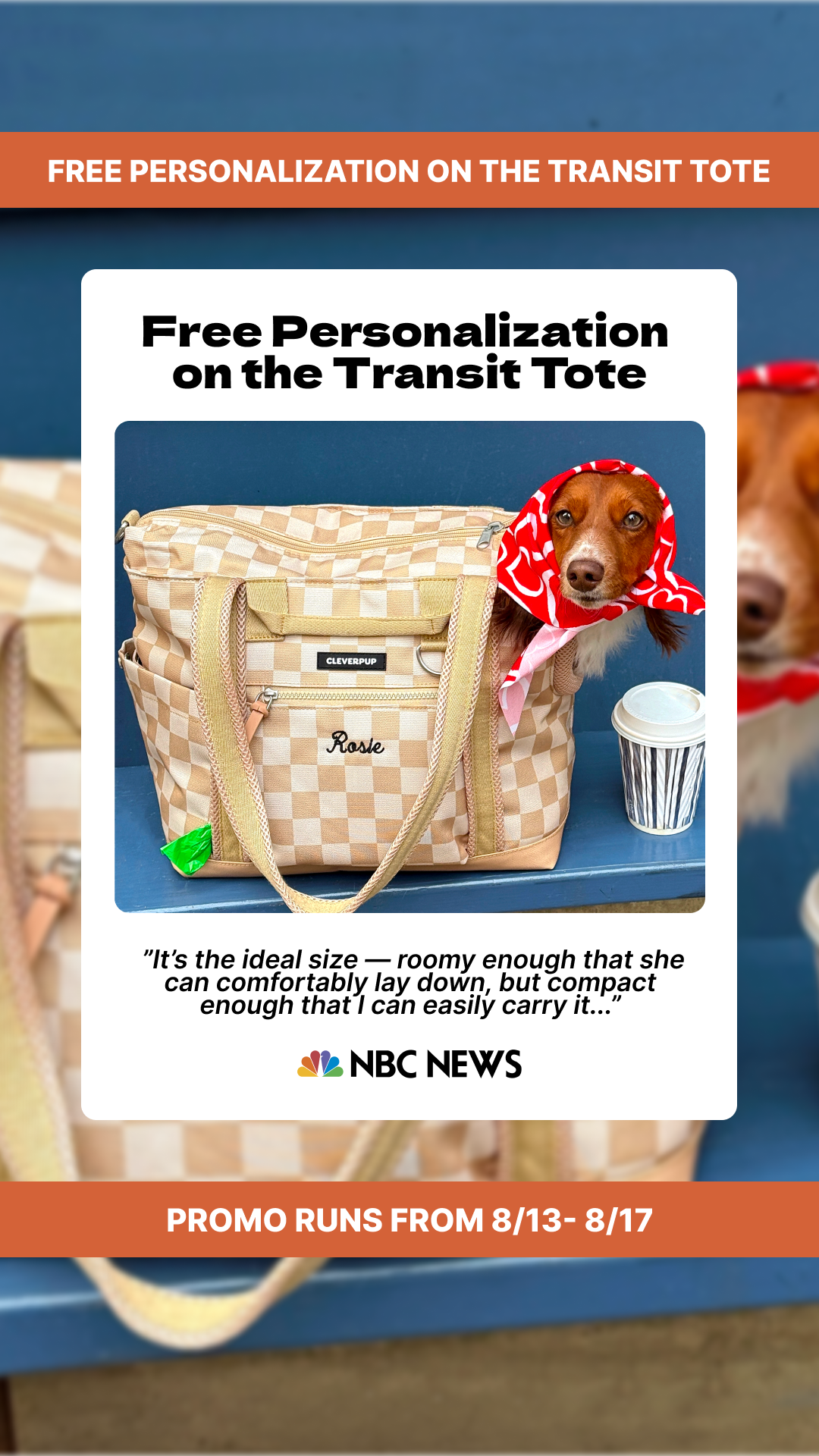 Cleverpup Facebook ad