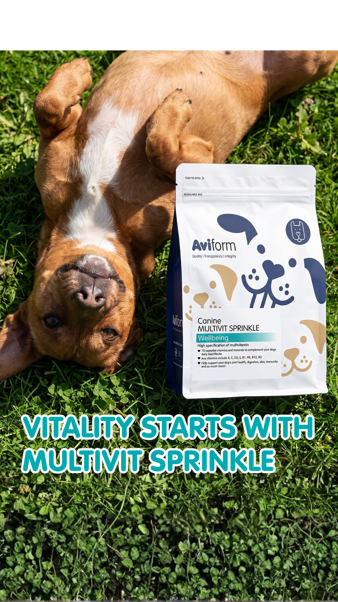 Aviform Nutrition UK - Horse & Dog Facebook ad