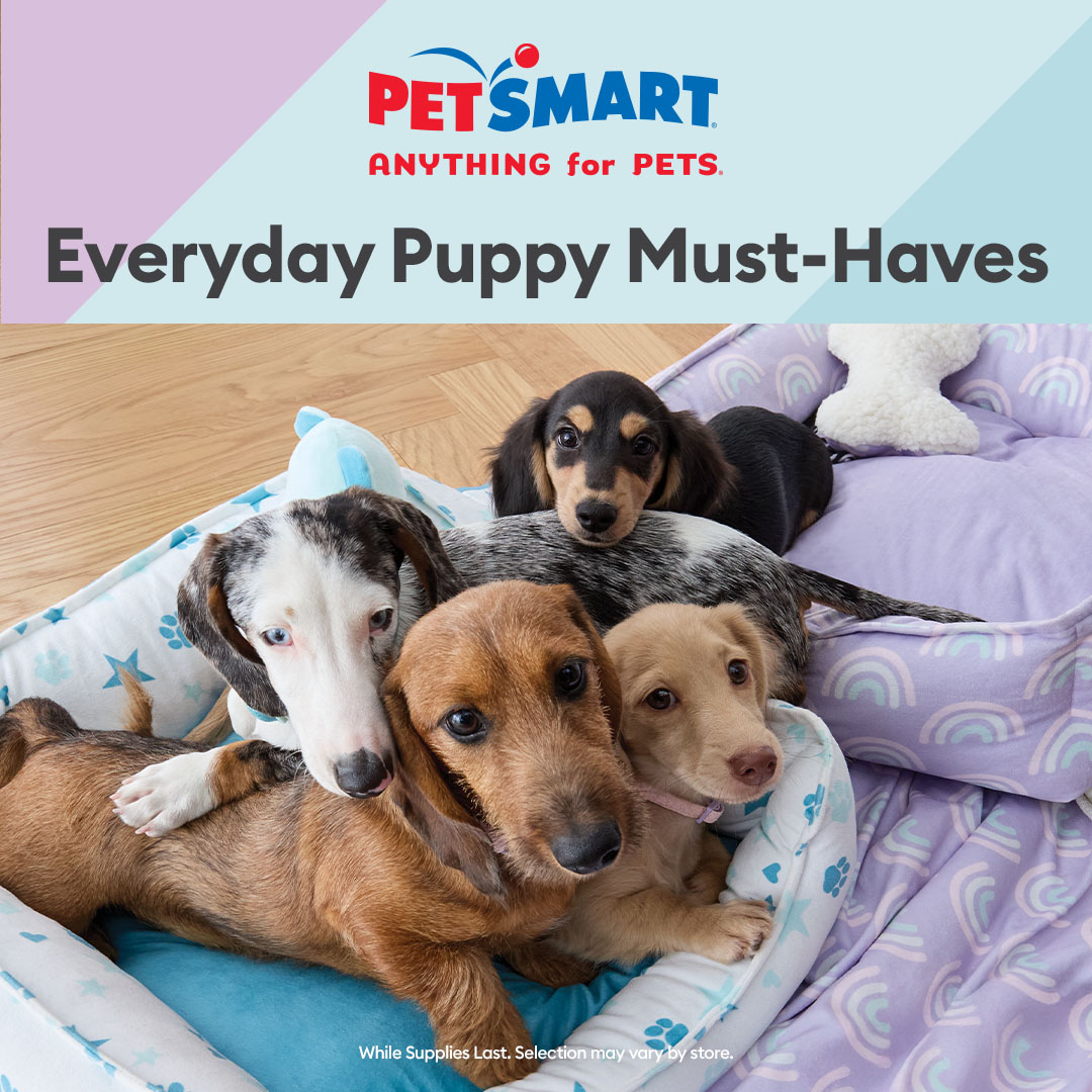 PetSmart Facebook ad