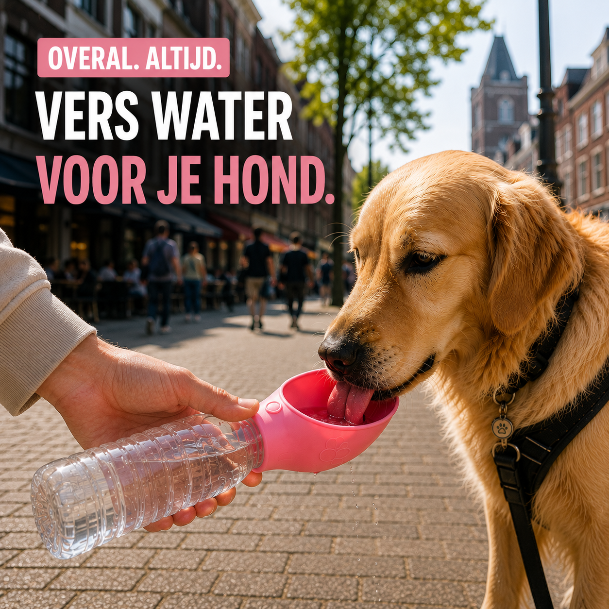 Pootr Facebook ad: Stop met sleuren met zware hondenflessen!