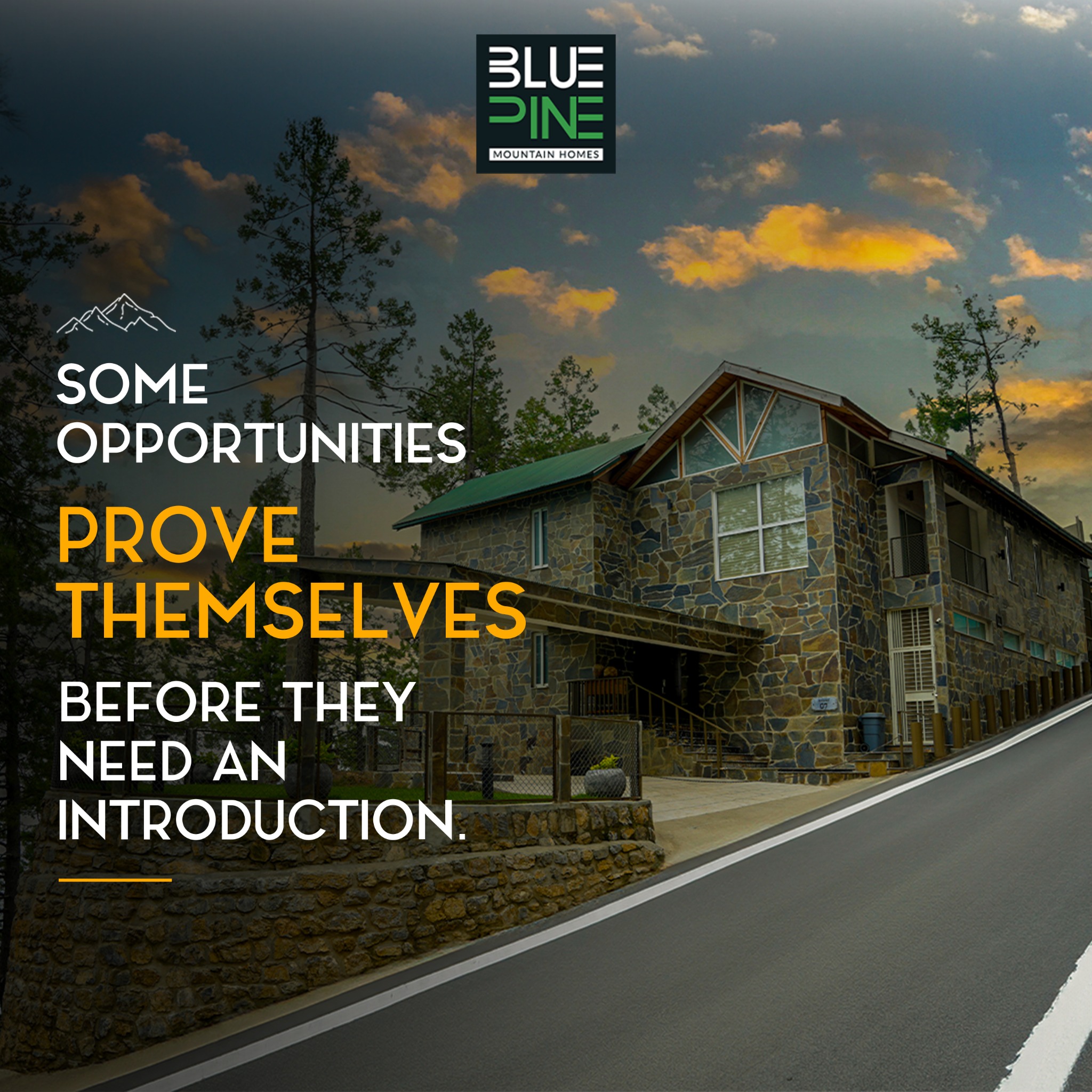 Blue Pine Mountain Homes Facebook ad