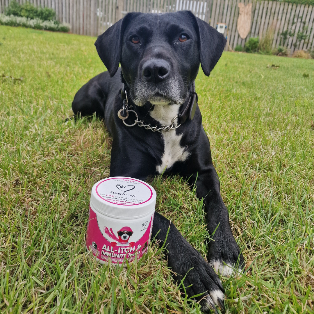 Nutri Paw Facebook ad