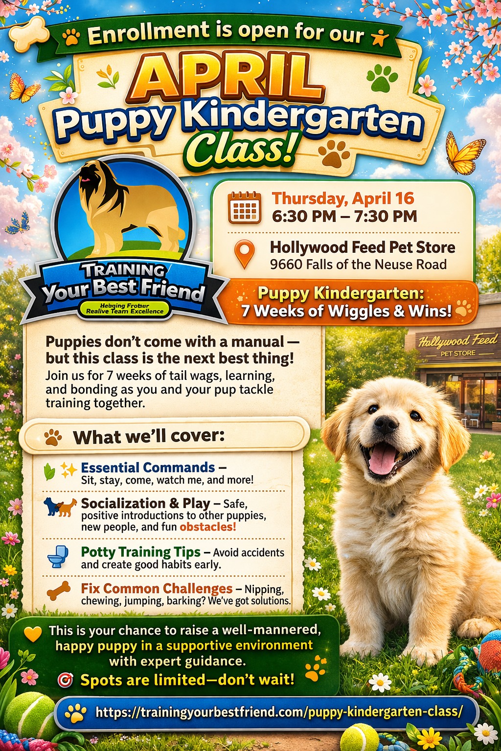 Training Your Best Friend LLC Facebook ad