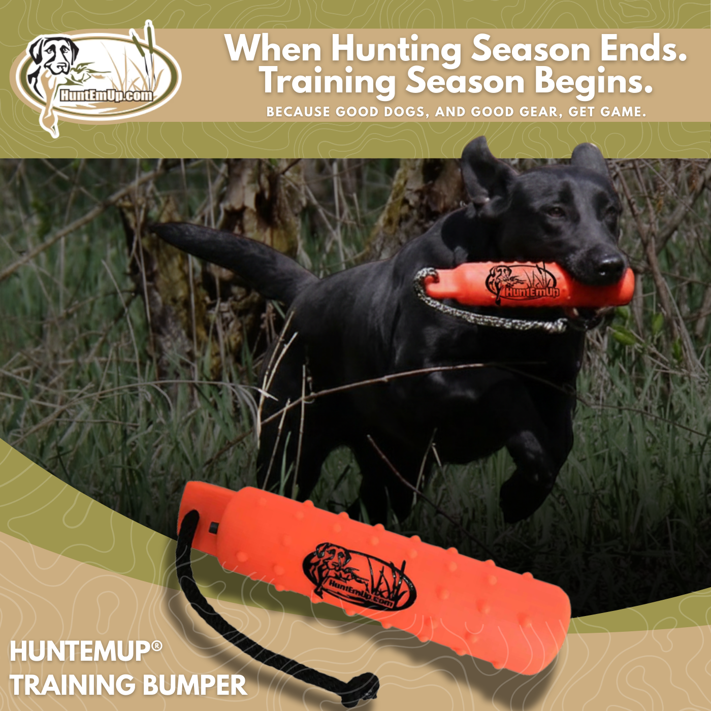 HuntEmUp.com Facebook ad: The #1 Best Dog Training Bumper