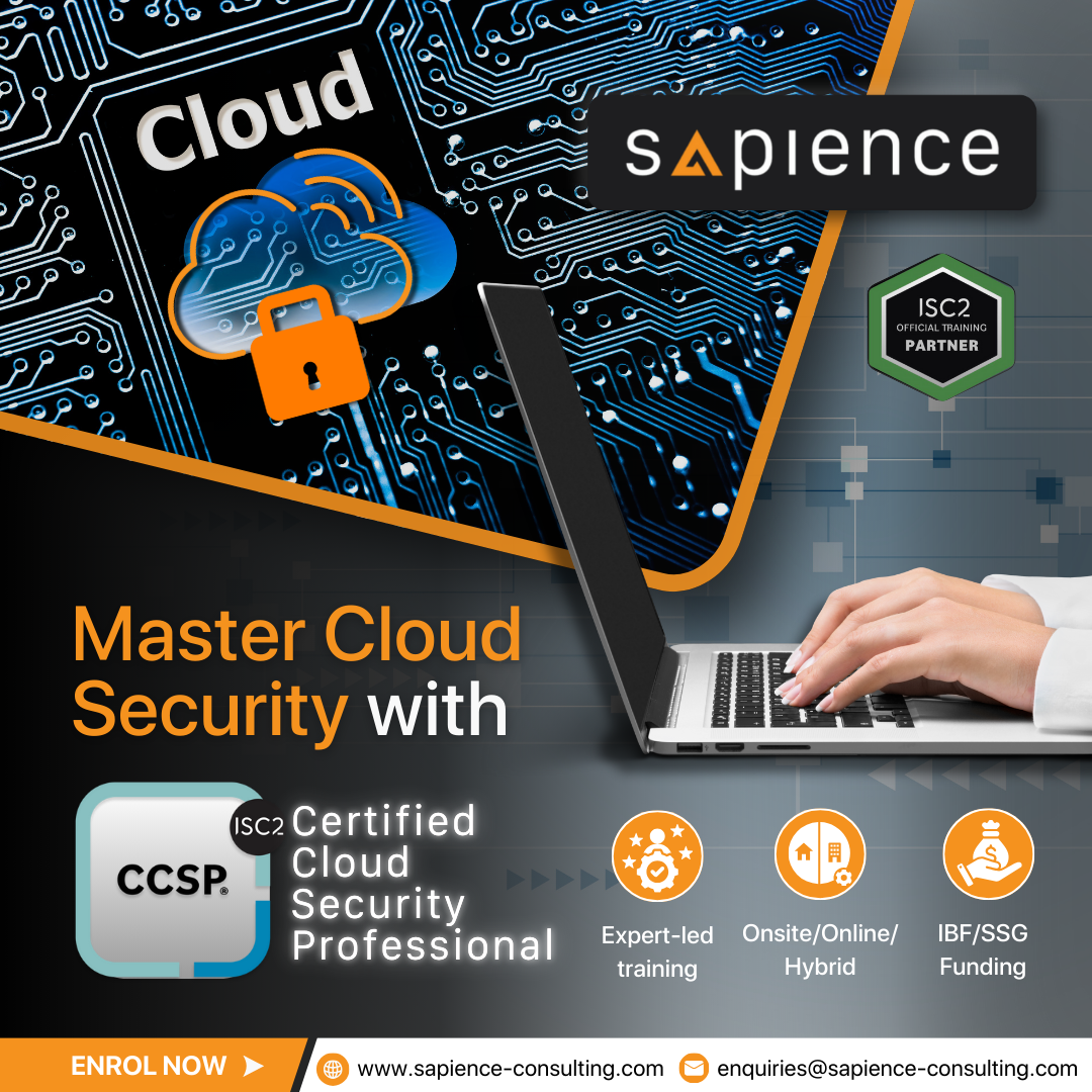 Sapience Consulting Facebook ad