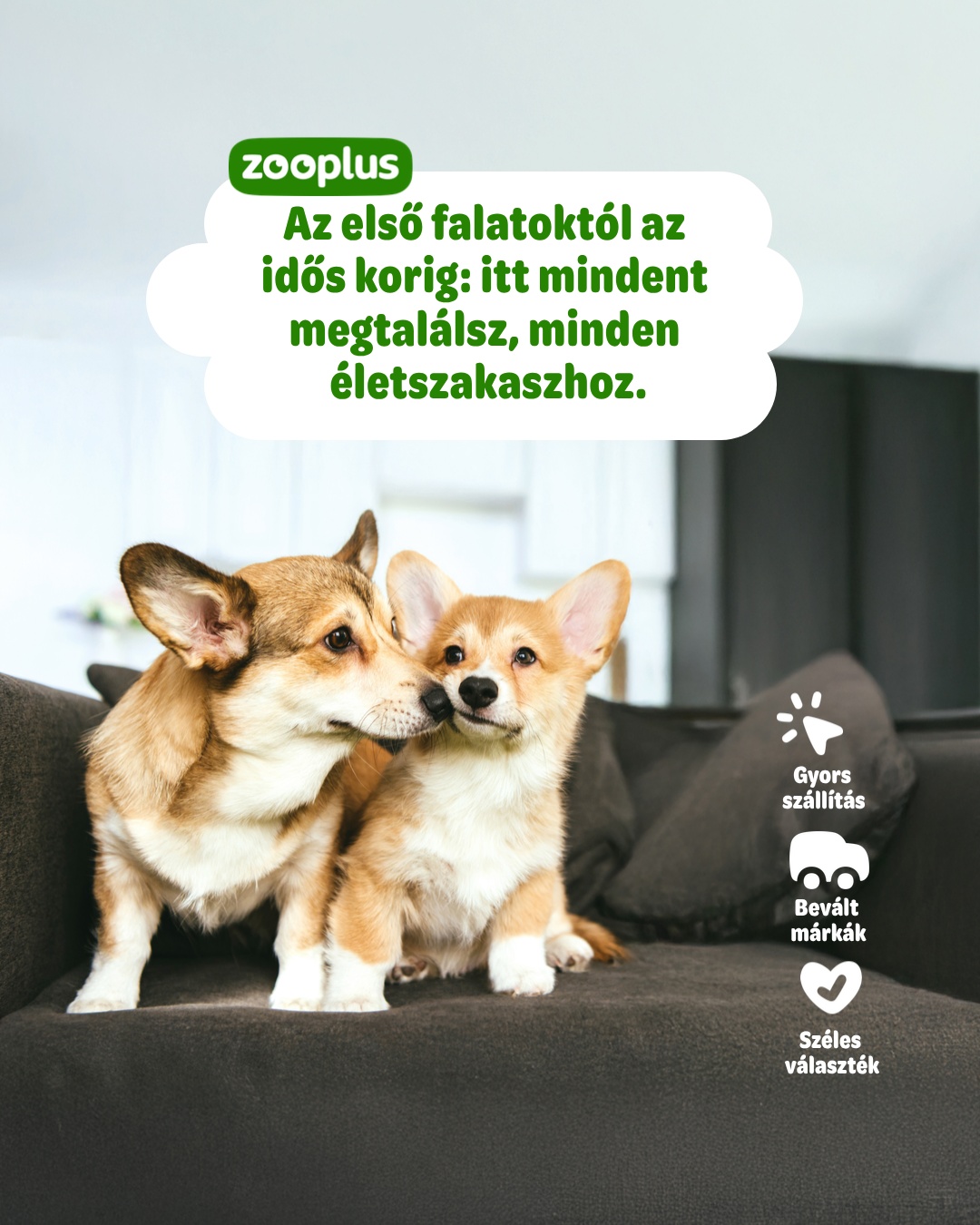 Zooplus INT Facebook ad