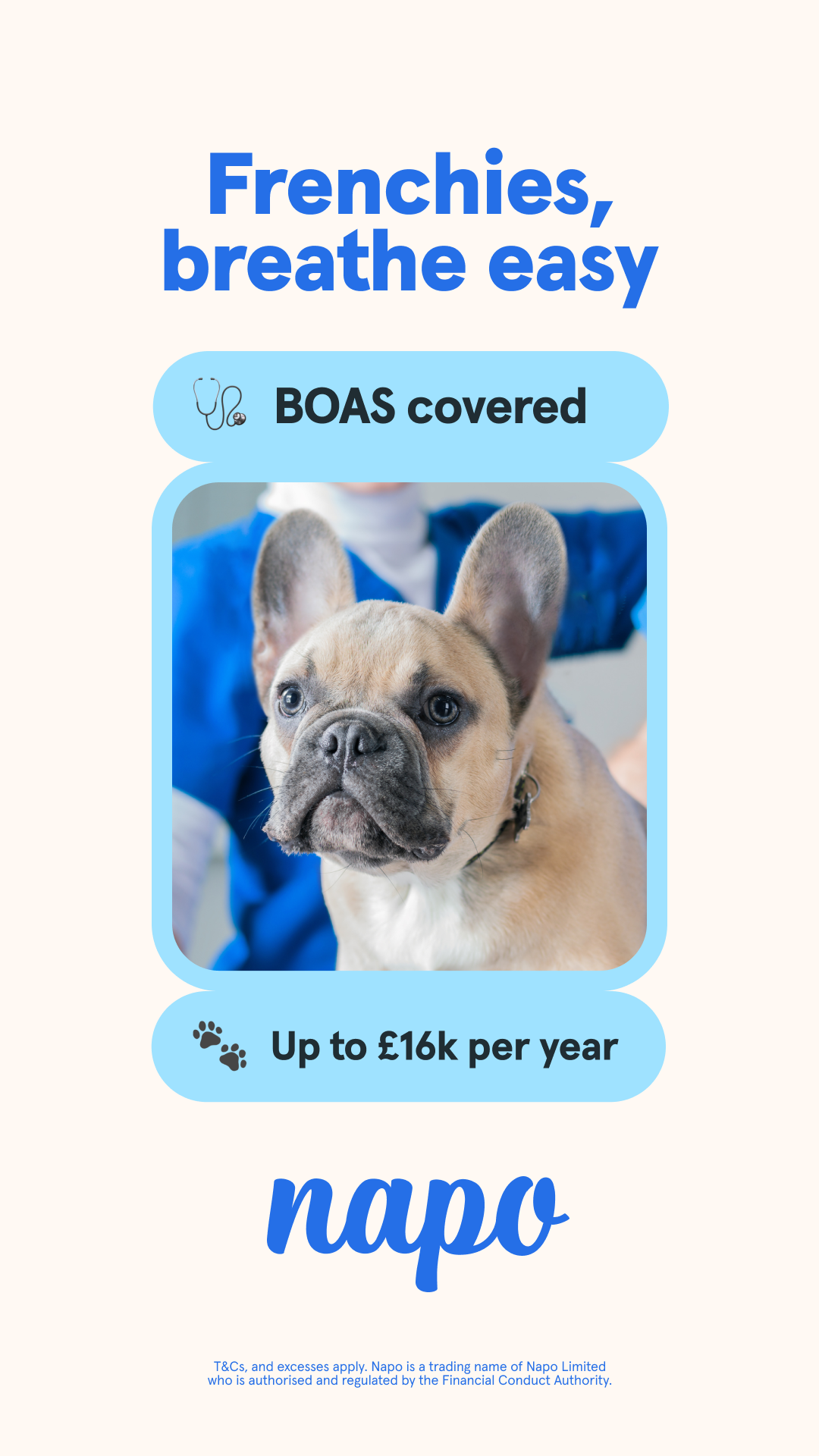 Napo Pet Insurance Facebook ad