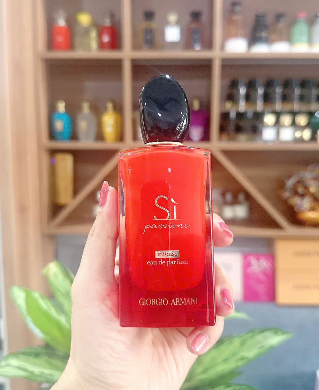 Shop Maisol Facebook ad: SALE SỐC ĐÓN SINH NHẬT BÁC
