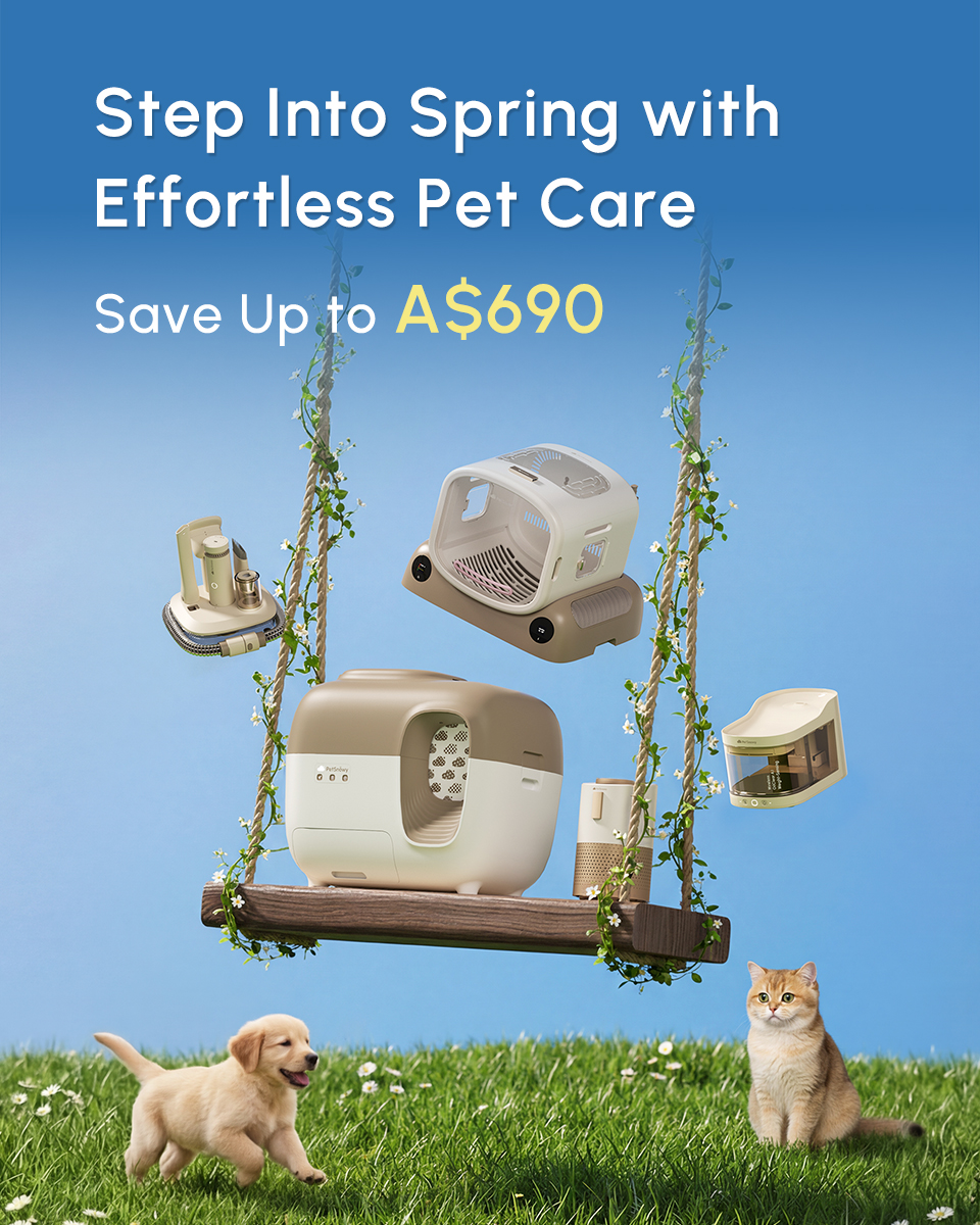 PetSnowy Facebook ad