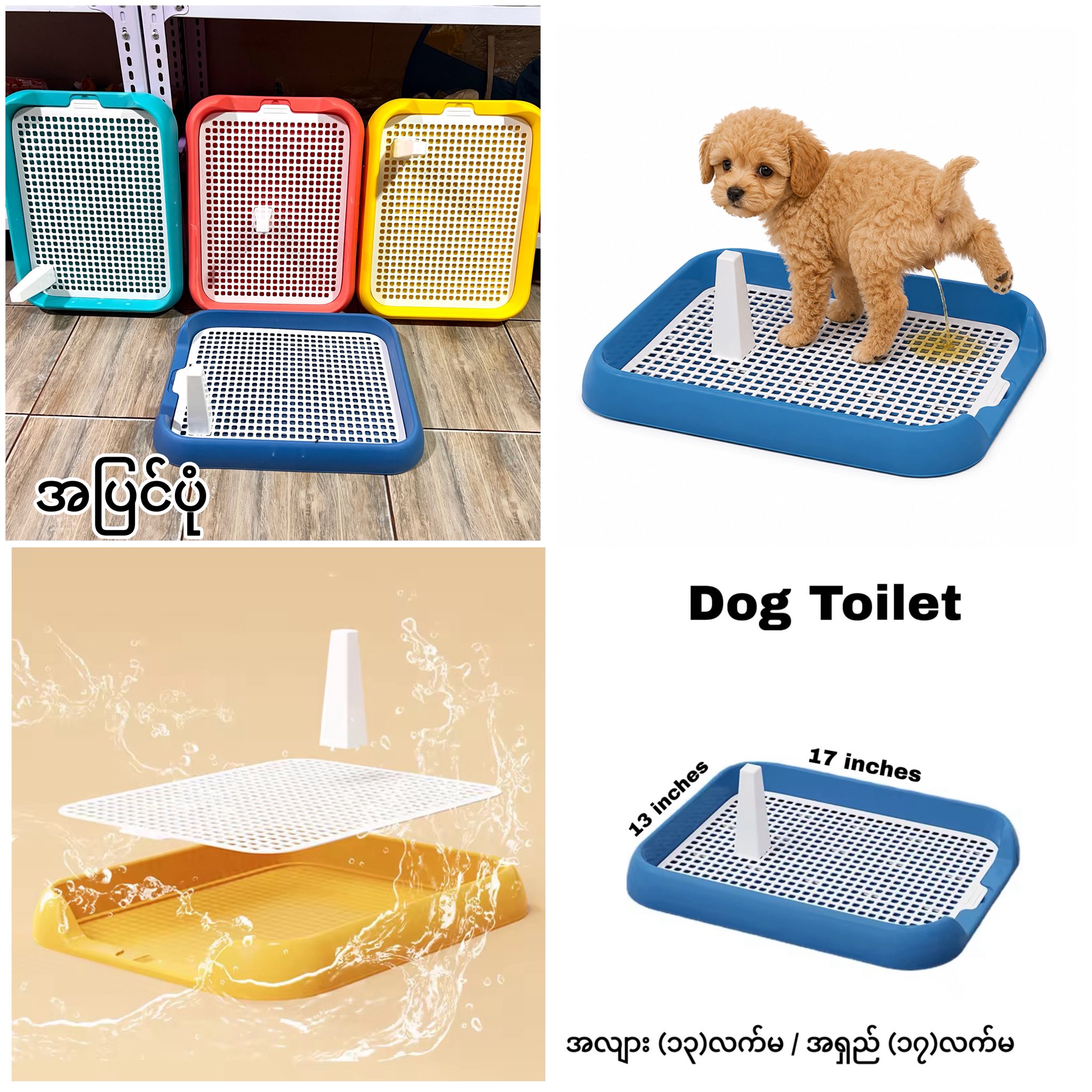 PUPPY LIFE Pet Mark Facebook ad: သင်သာ တိလေးမွေးထားတဲ့သူဆို မဖြစ်မနေဝင်ကြည့်သင့်တယ်