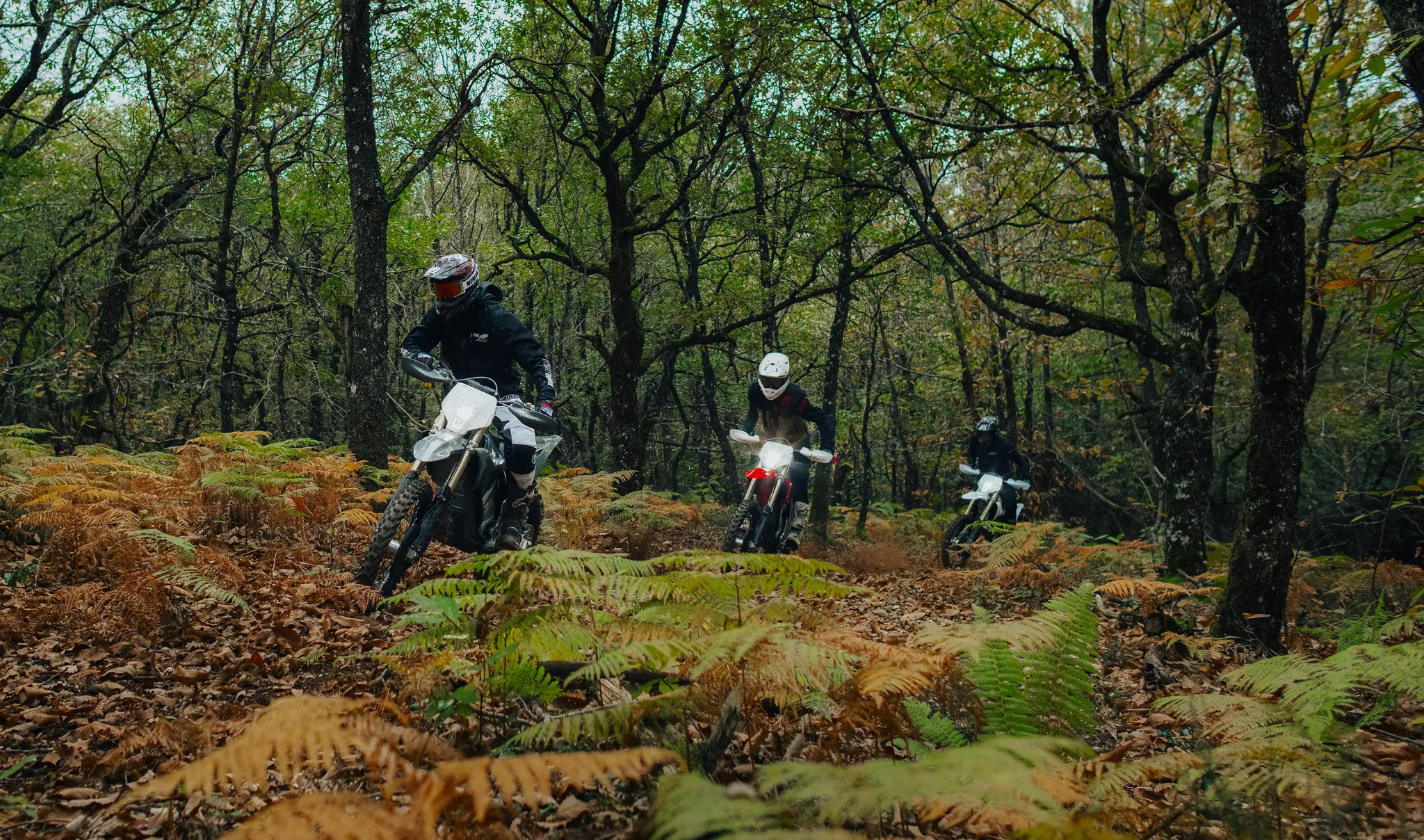 Sunstate Motorcycles Facebook ad