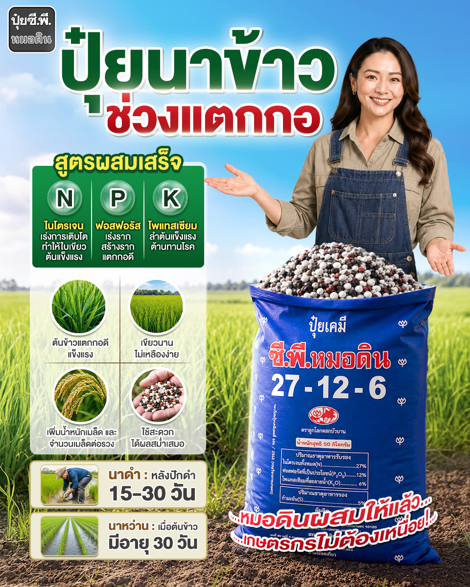 Robrai ปุ๋ยซี.พี.หมอดิน Facebook ad: ใส่ปุ๋ยนาข้าวช่วงแตกกอ เลือกยังไงให้ข้าวแตกกอดี ต้นแข็งแรง…