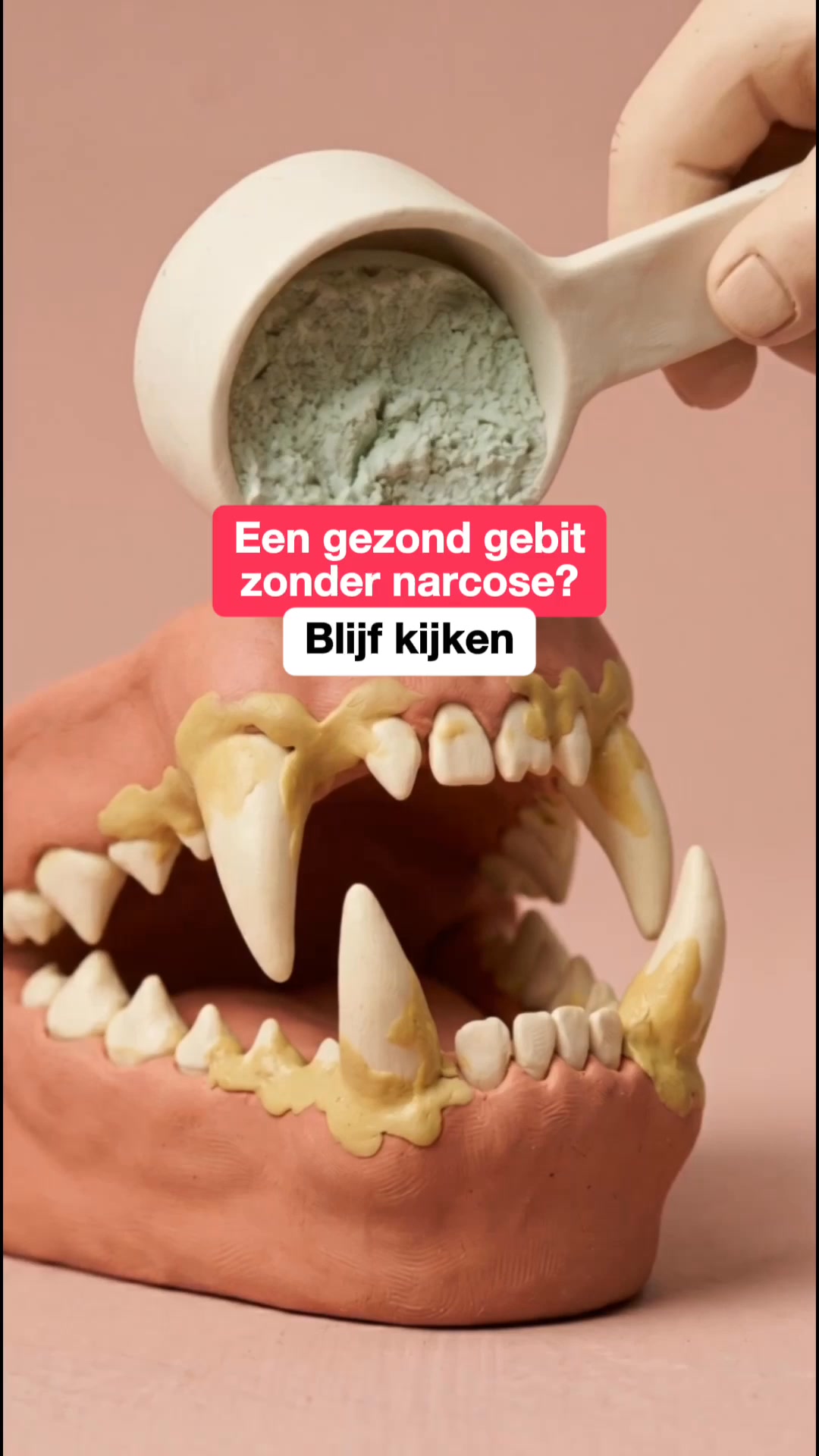 Hond & Leven Facebook ad: Hoe je je hond ingrijpende gebitsreinigingen onder narcose…