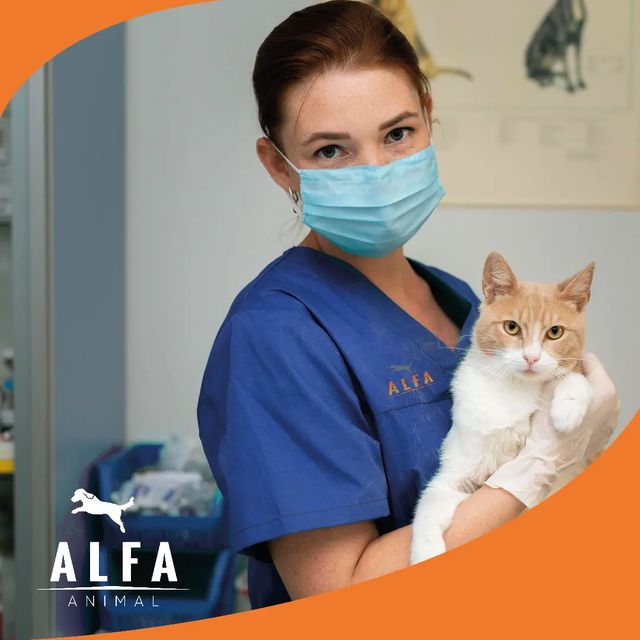 Alfa Animal Facebook ad