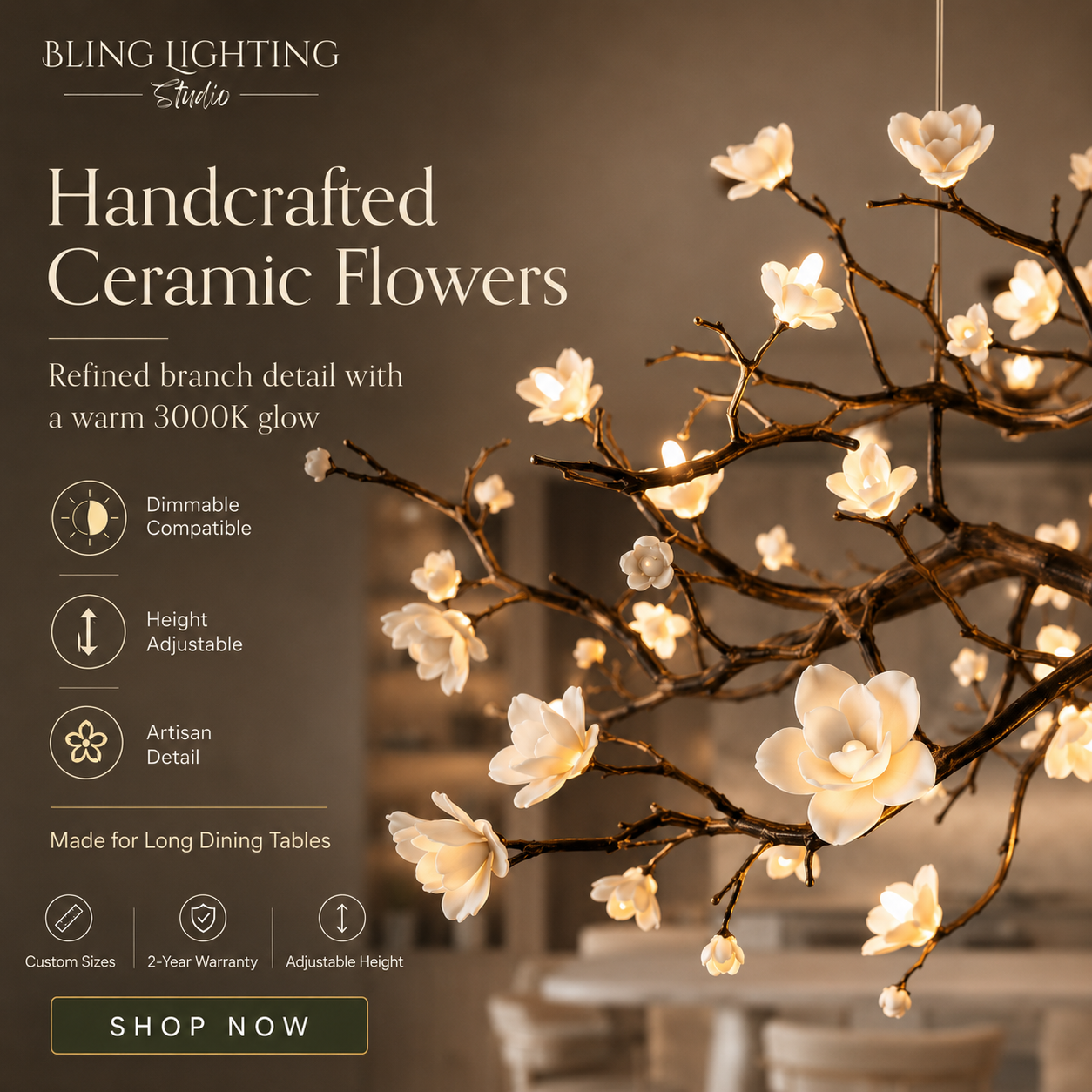 Bling Lighting Studio Facebook ad from Jul 13, 2026