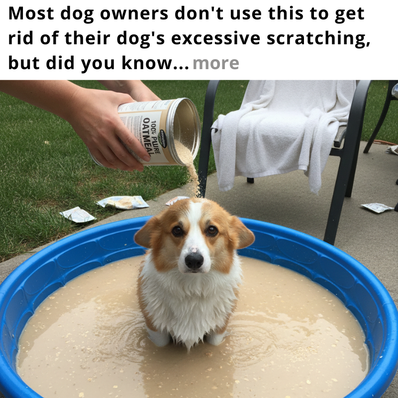 The Healthy Pet Parent Facebook ad