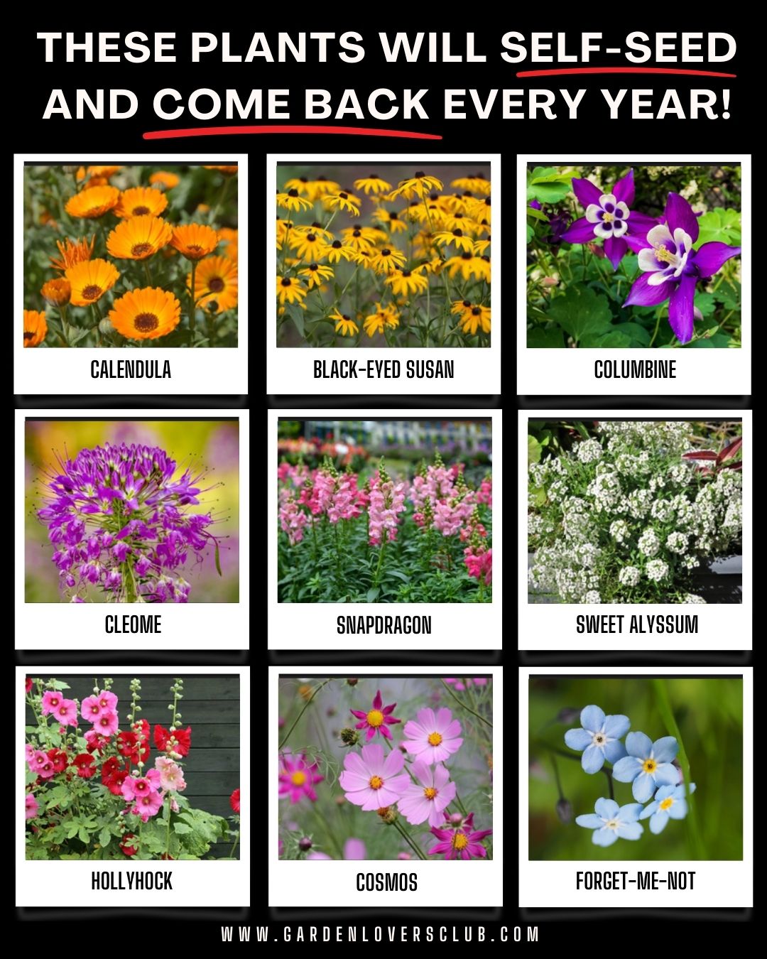 Garden Lovers Club Facebook ad