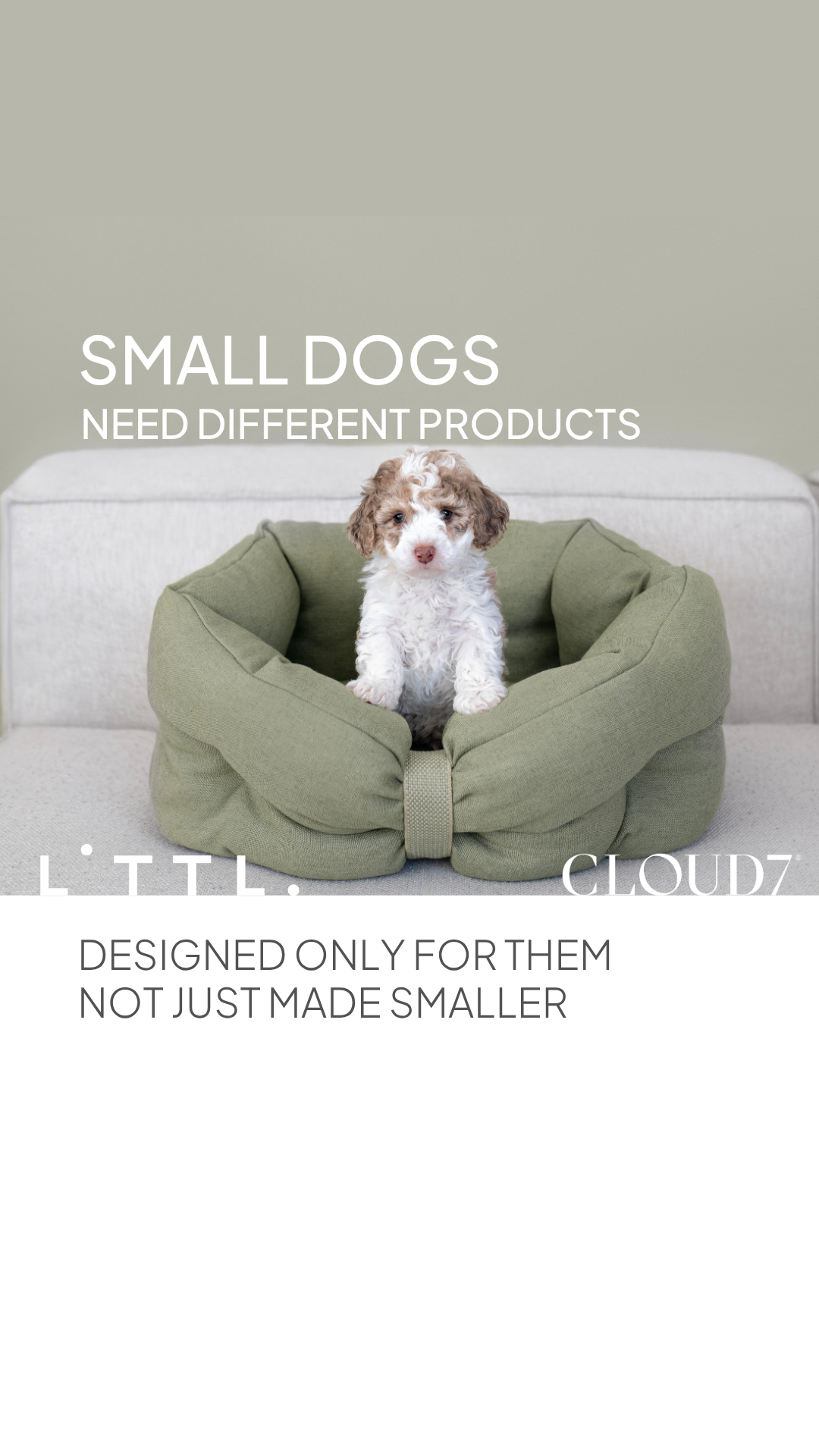 Cloud7 Facebook ad