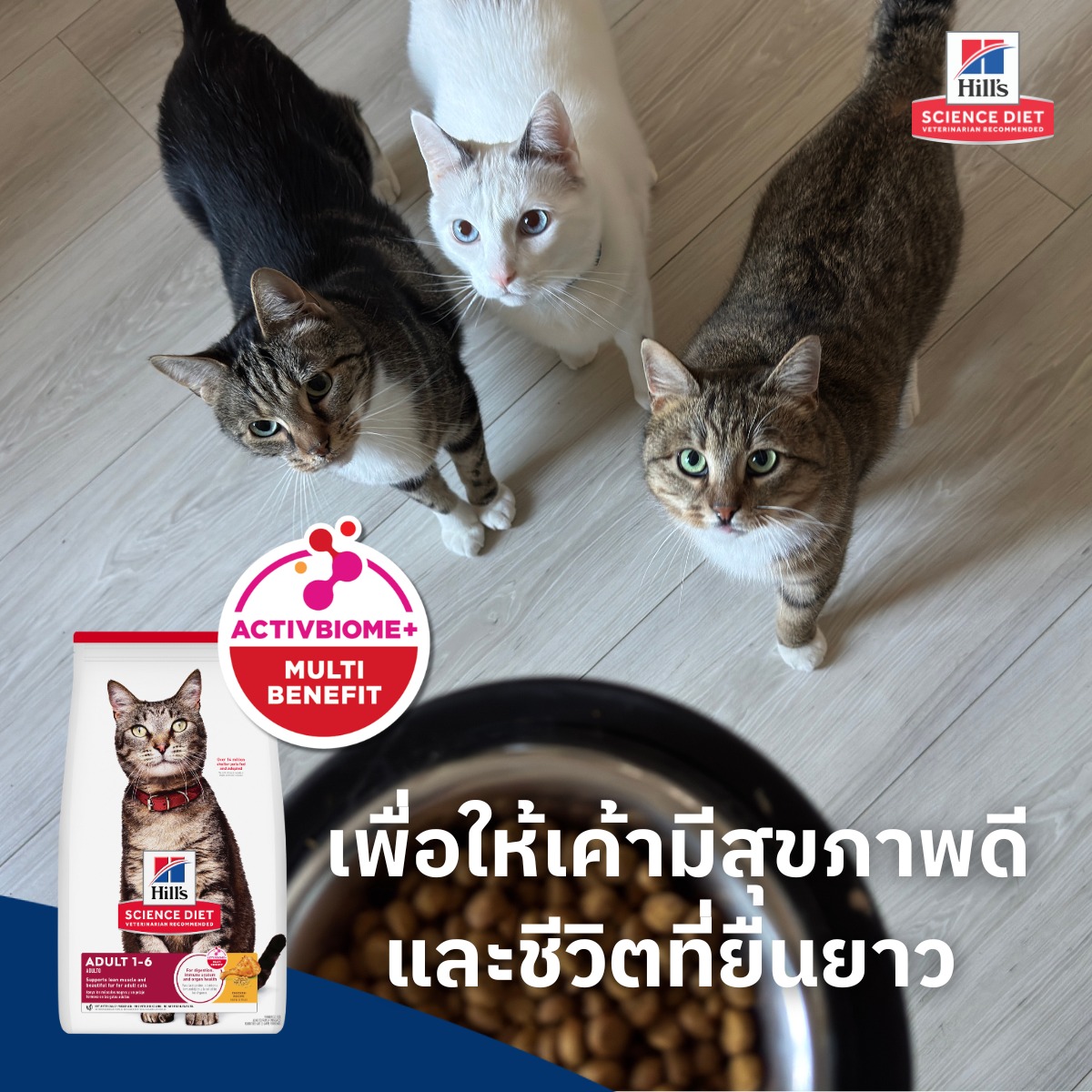Hill's Pet Nutrition Thailand Facebook ad
