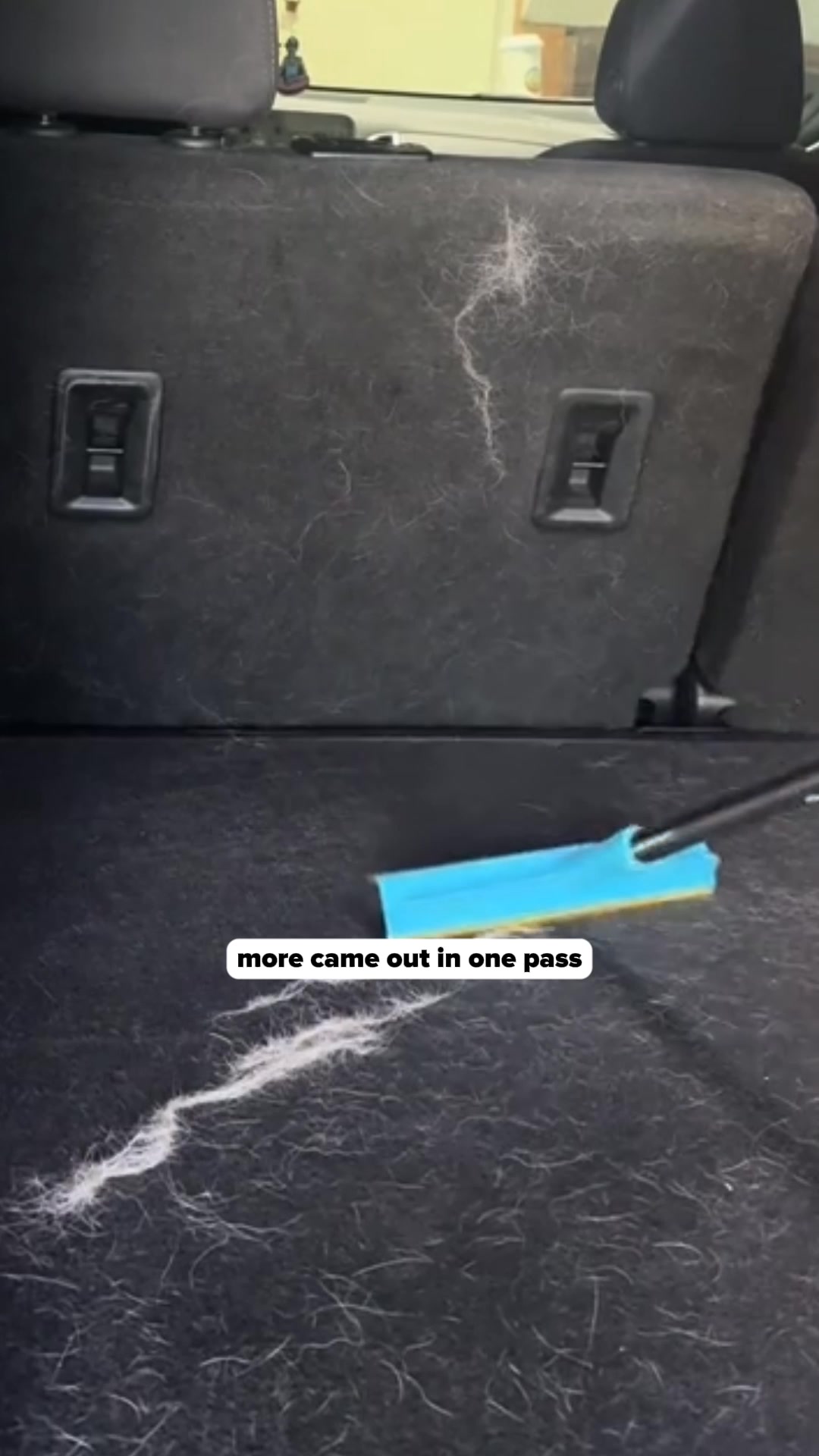 Uproot Clean Facebook ad: That musty smell in your house isn't your…