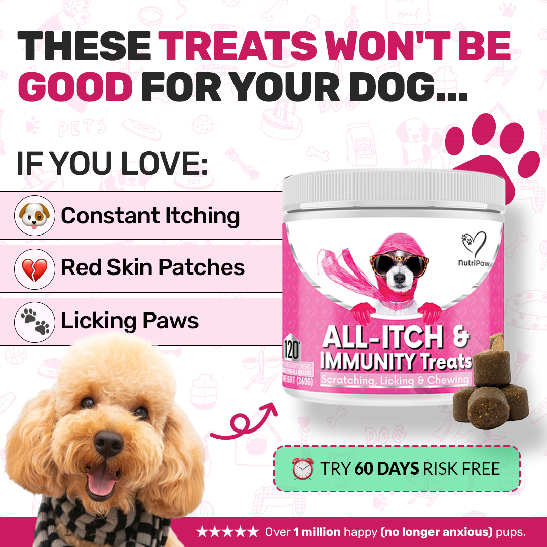 Healthy Dog 24/7 Facebook ad