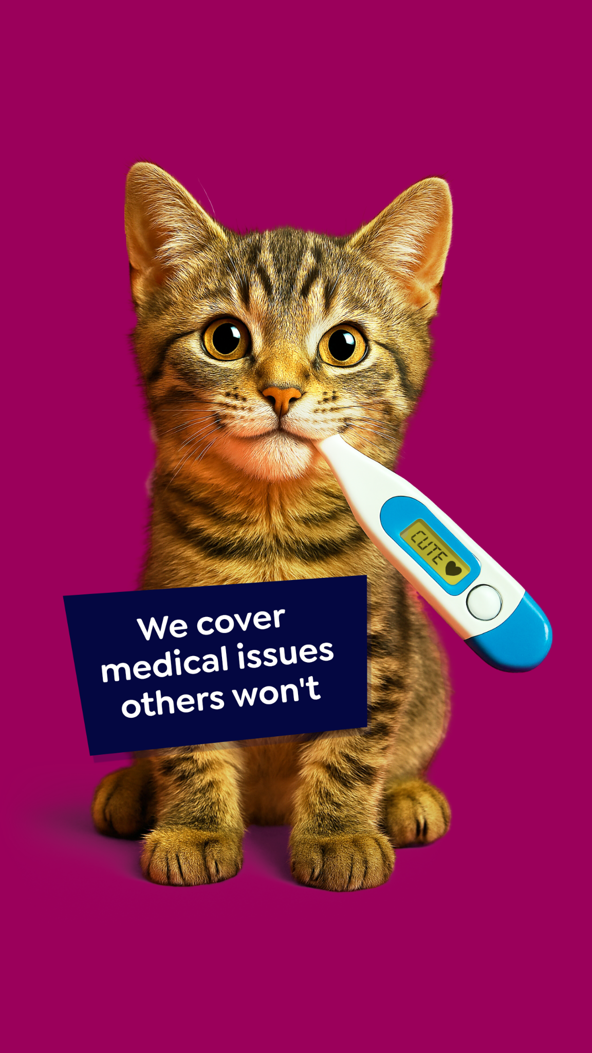 Petgevity UK Facebook ad