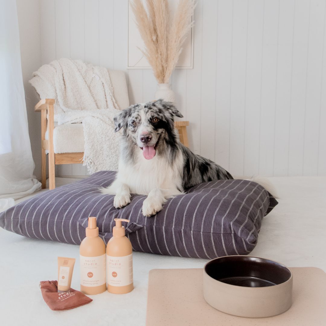 Nordic Fusion Facebook ad: Because pets deserve Scandinavian style too Discover cosy…