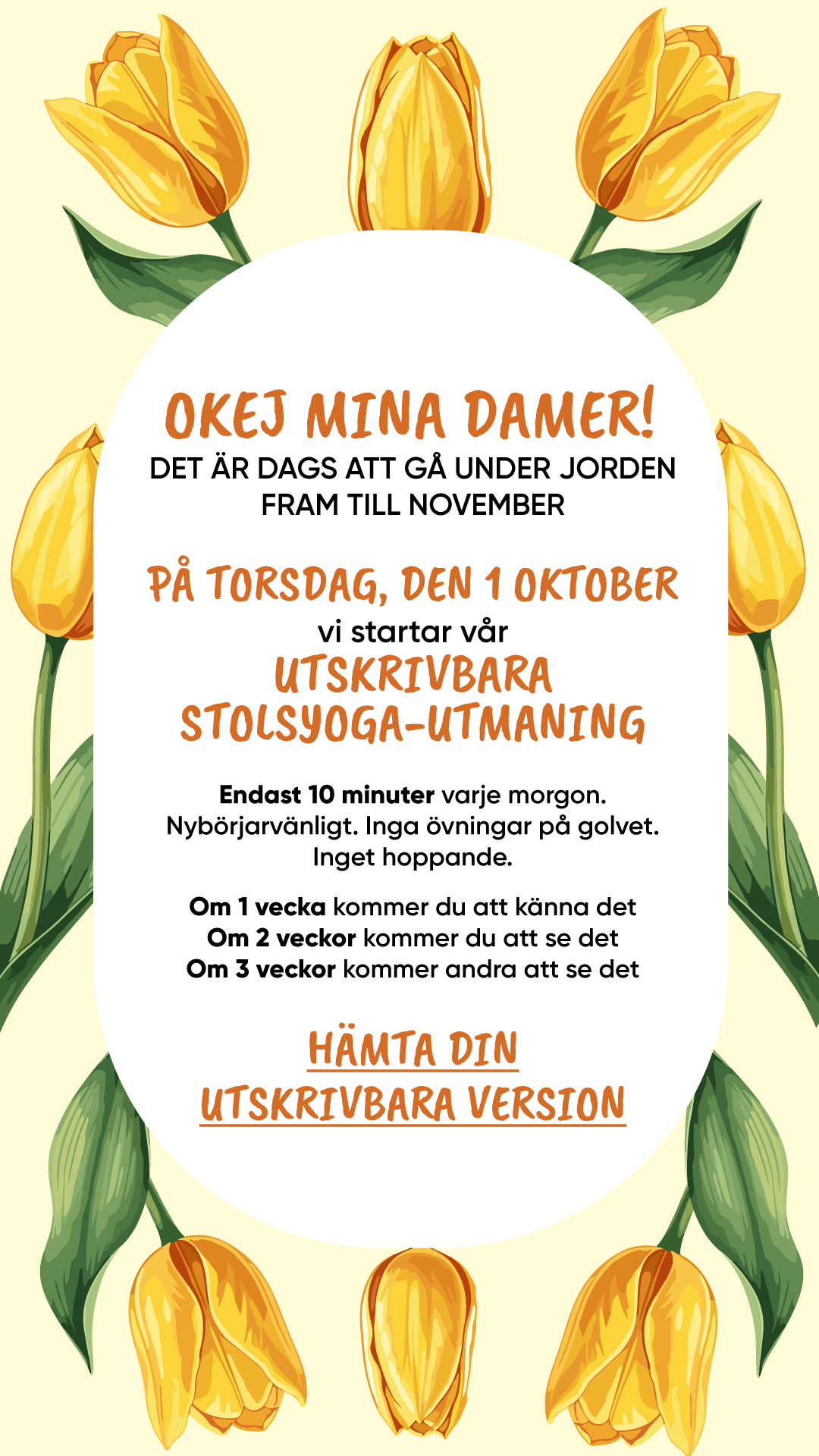 Tori Repa Facebook ad: Börja din förvandling nu!