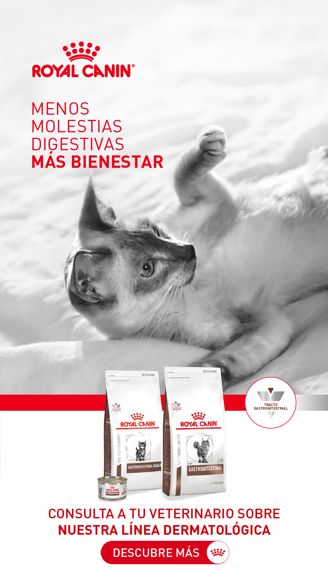 Royal Canin Colombia Facebook ad: Digestión saludable