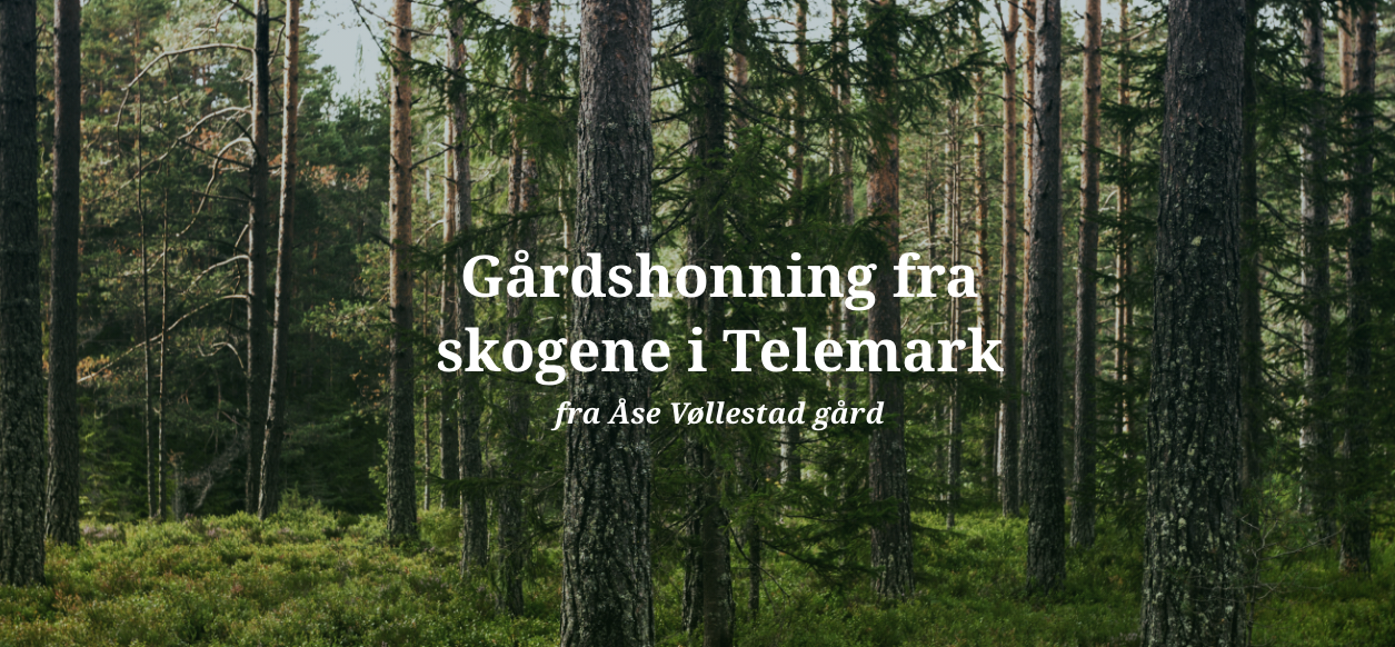 Åse-Vøllestad skogen - Honning. Facebook ad: Åse Vøllestad Gård - Gårdshonning fra skogene i Telemark