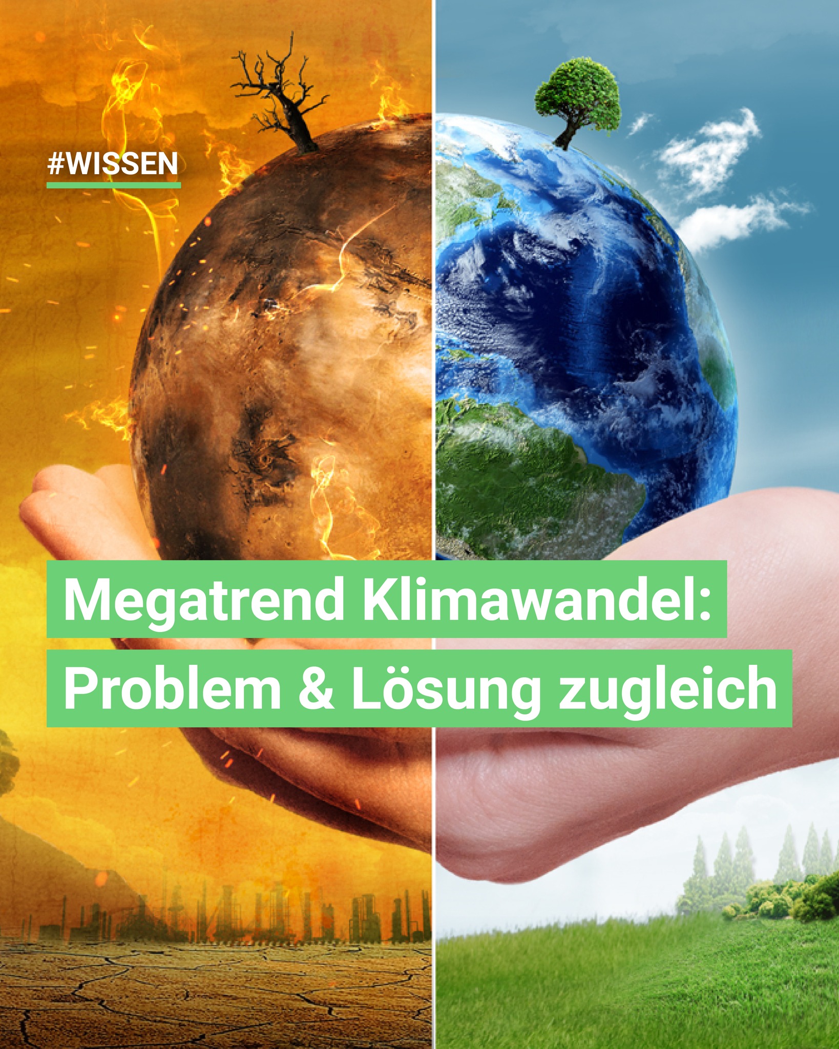 swiss-food.ch Facebook ad: Megatrend Klimawandel: Opfer oder Lösung?