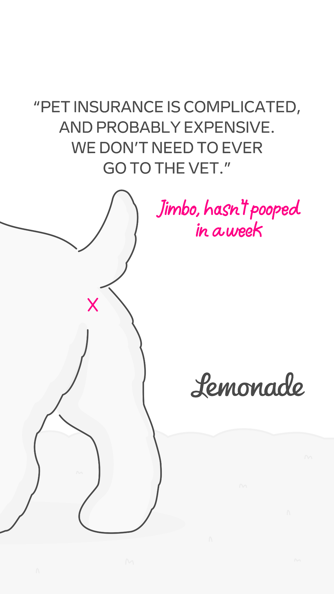 Lemonade Facebook ad
