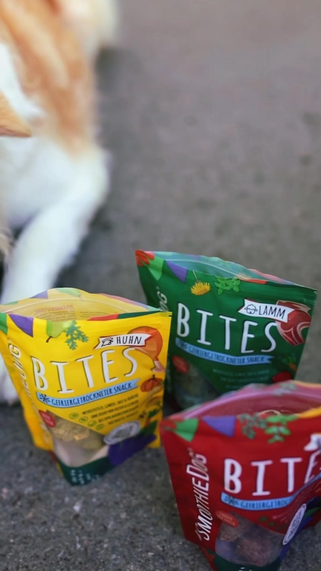 SmoothieDog Facebook ad: Premium-Snack mit Rind