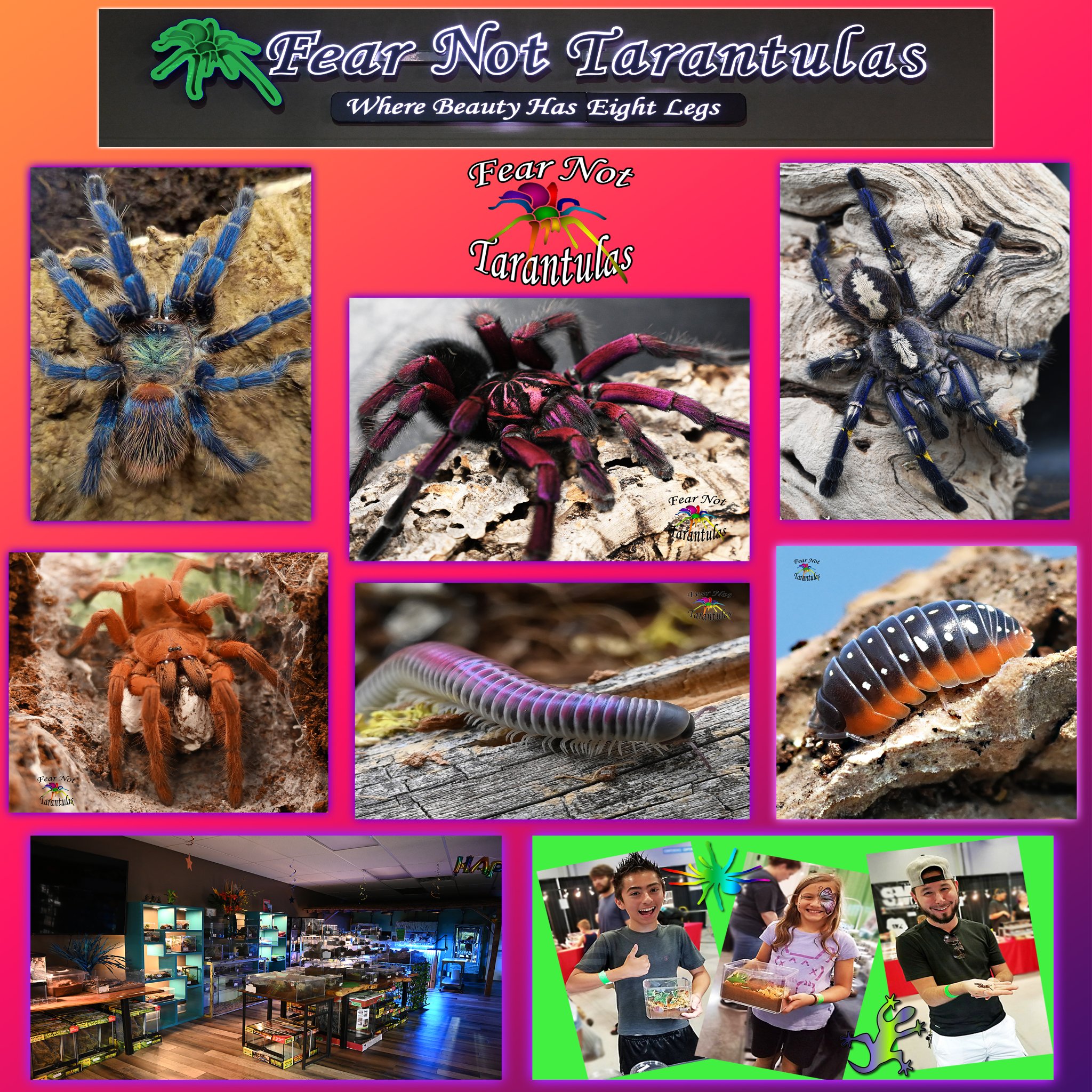 Fear Not Tarantulas, Inc Facebook ad