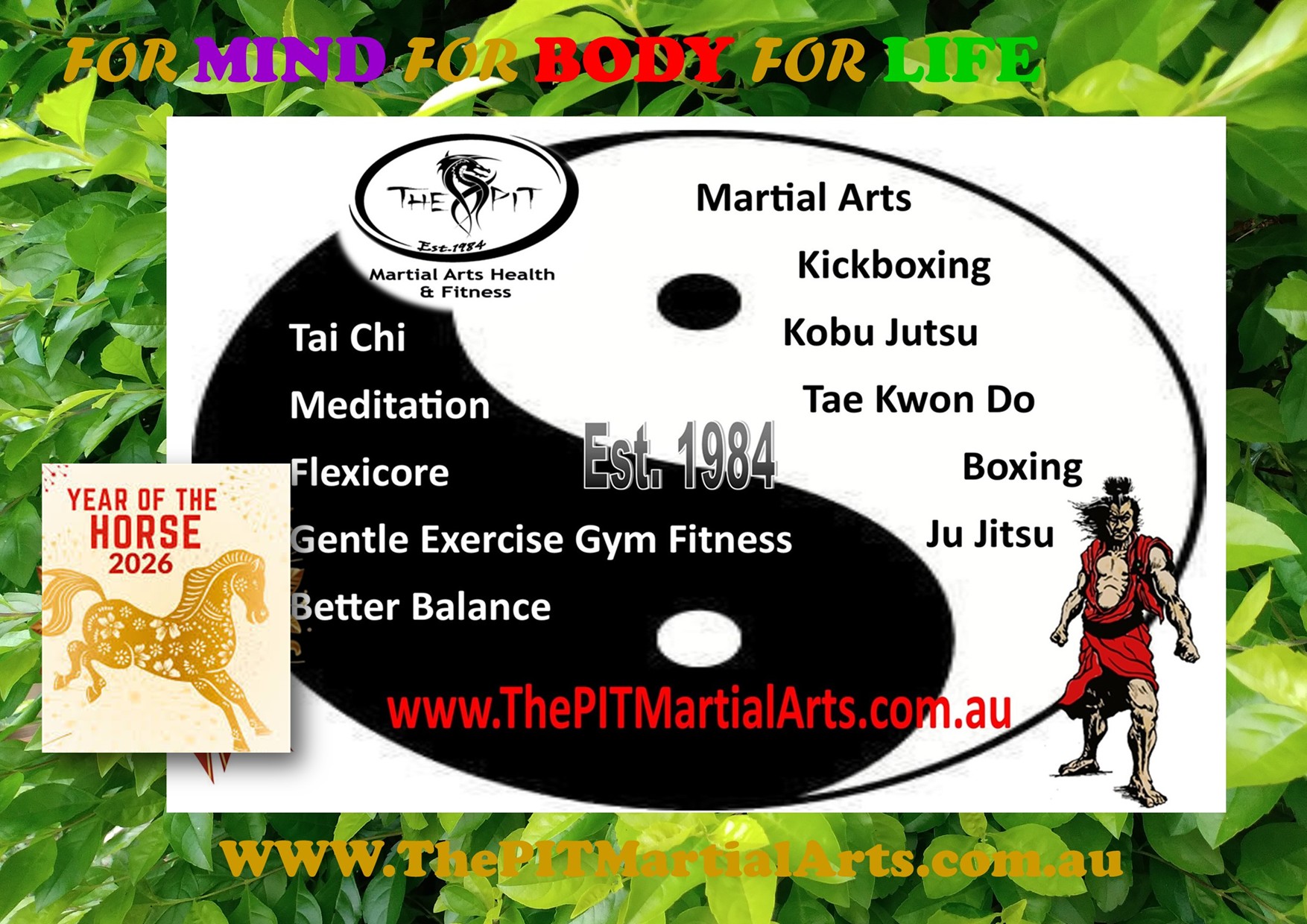 The Pit Martial Arts Facebook ad: Martial Arts Self Defence in Macarthur, Narellan, Camden…